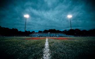 a field with a fountain in it