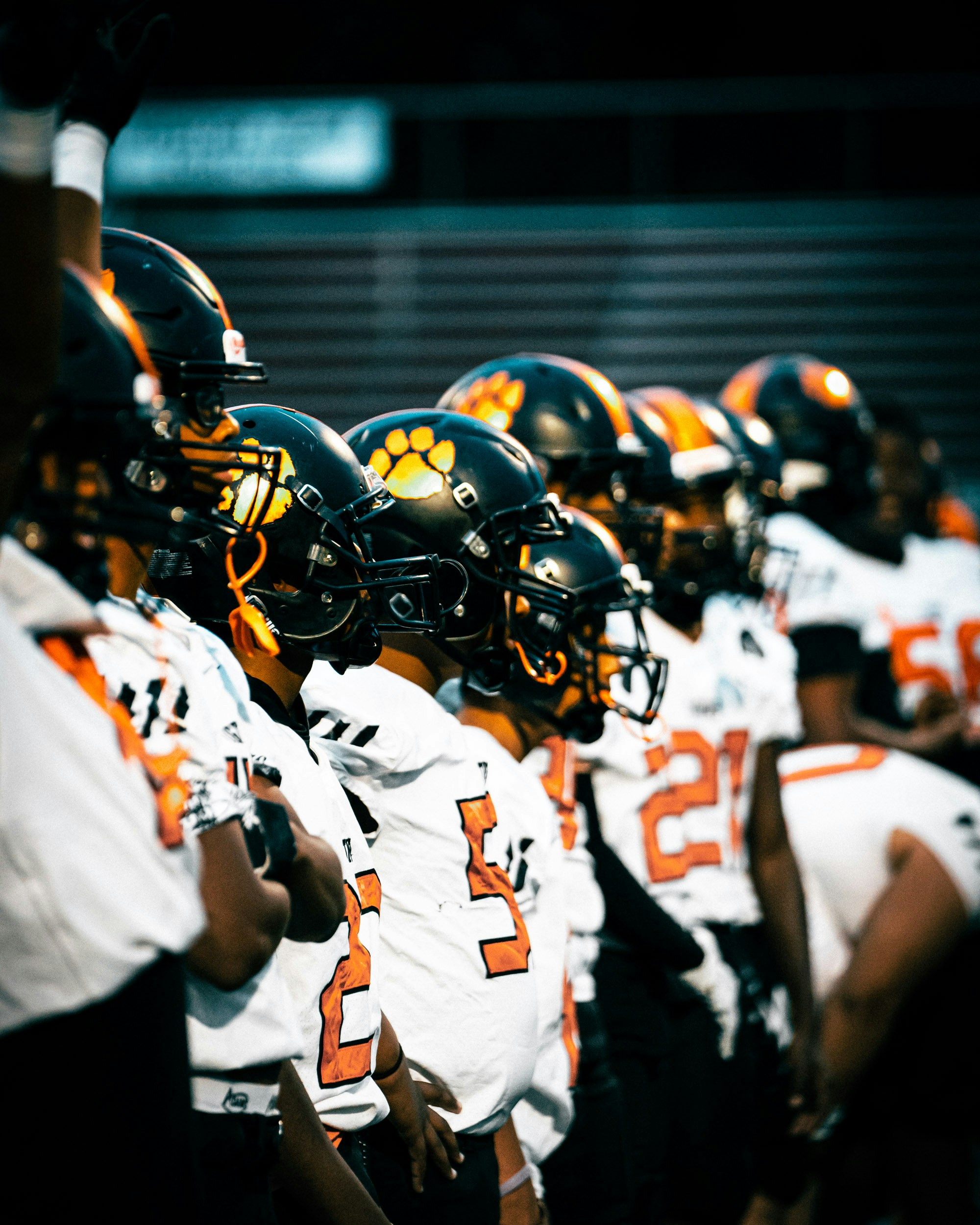 Player Stats Breakdown: Detroit Lions vs Houston Texans Match