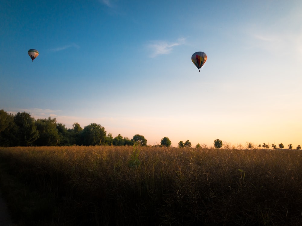 a group of hot air balloons in the sky