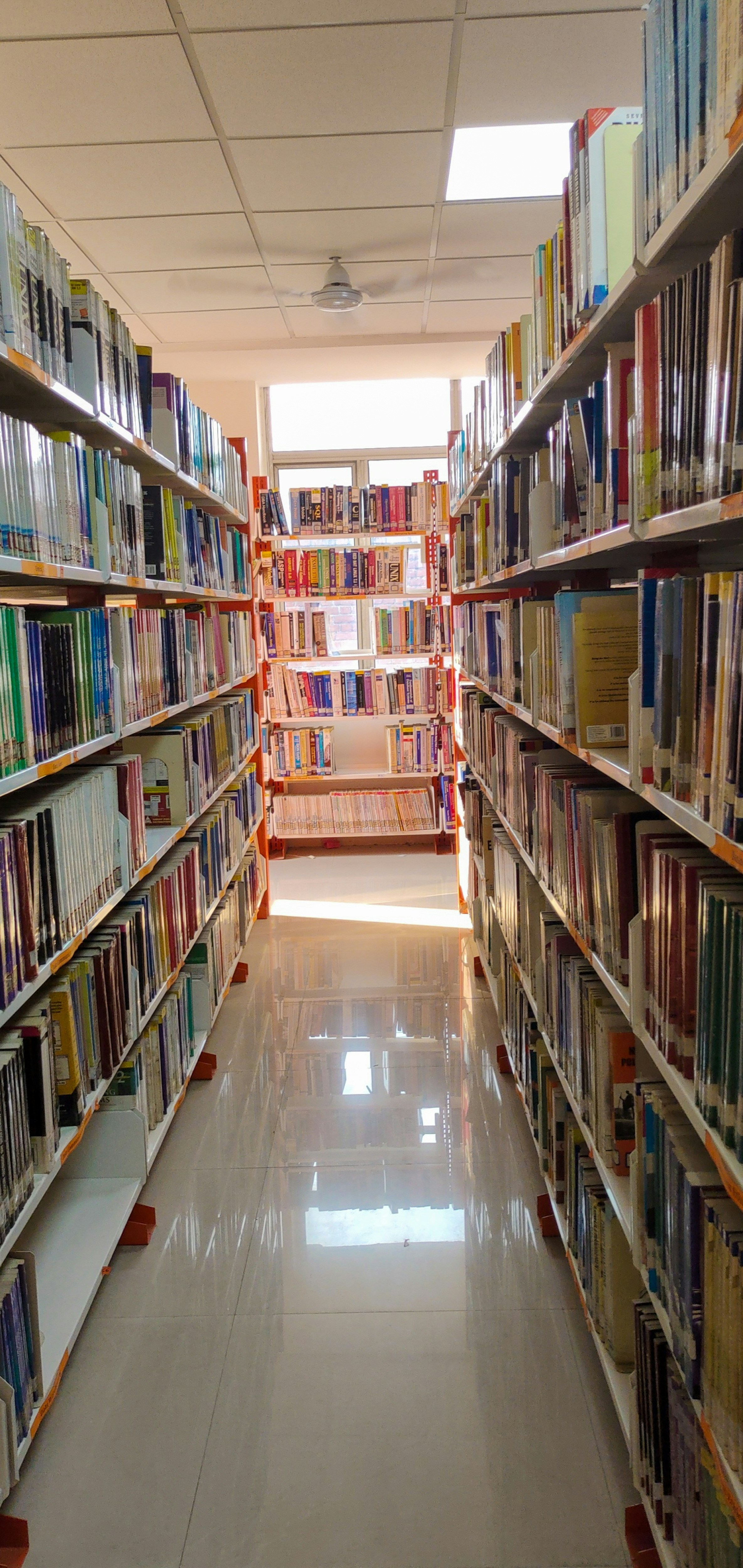 Photo by mishra_brijesh