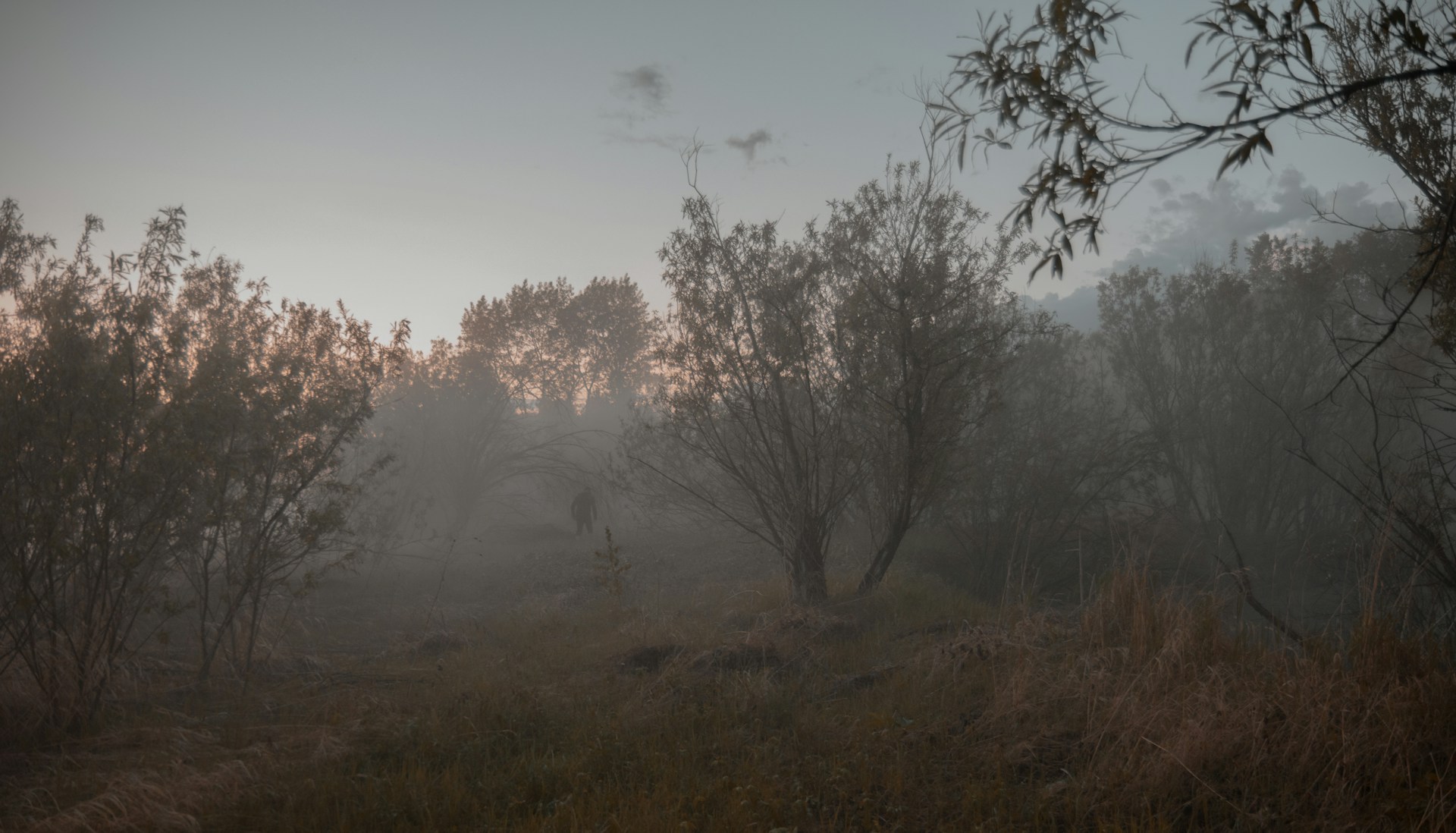 An eerie, fog-filled landscape with subtle interactive elements, illustrating the original mechanics and mood-focused design lezitgames is known for.