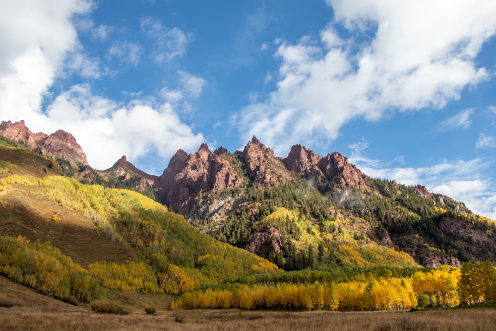 Un paisaje con montañas y árboles