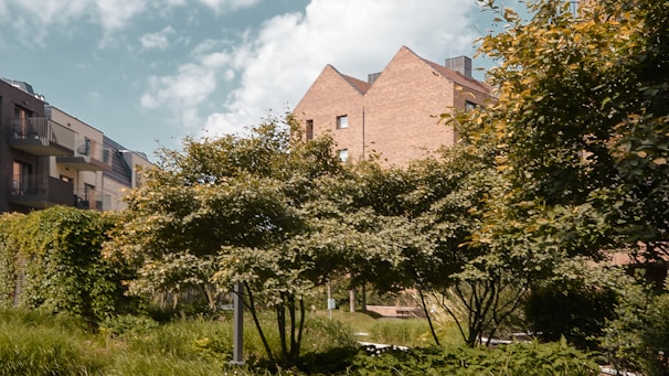 Close-up of green landscaped park within a residential community.