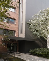 A modern building facade with brick and sleek dark panels is partially obscured by a small tree with green leaves. The entrance features a glass door with a number '33' sign displayed next to it. The surrounding area includes a neatly maintained pathway and some low shrubbery.