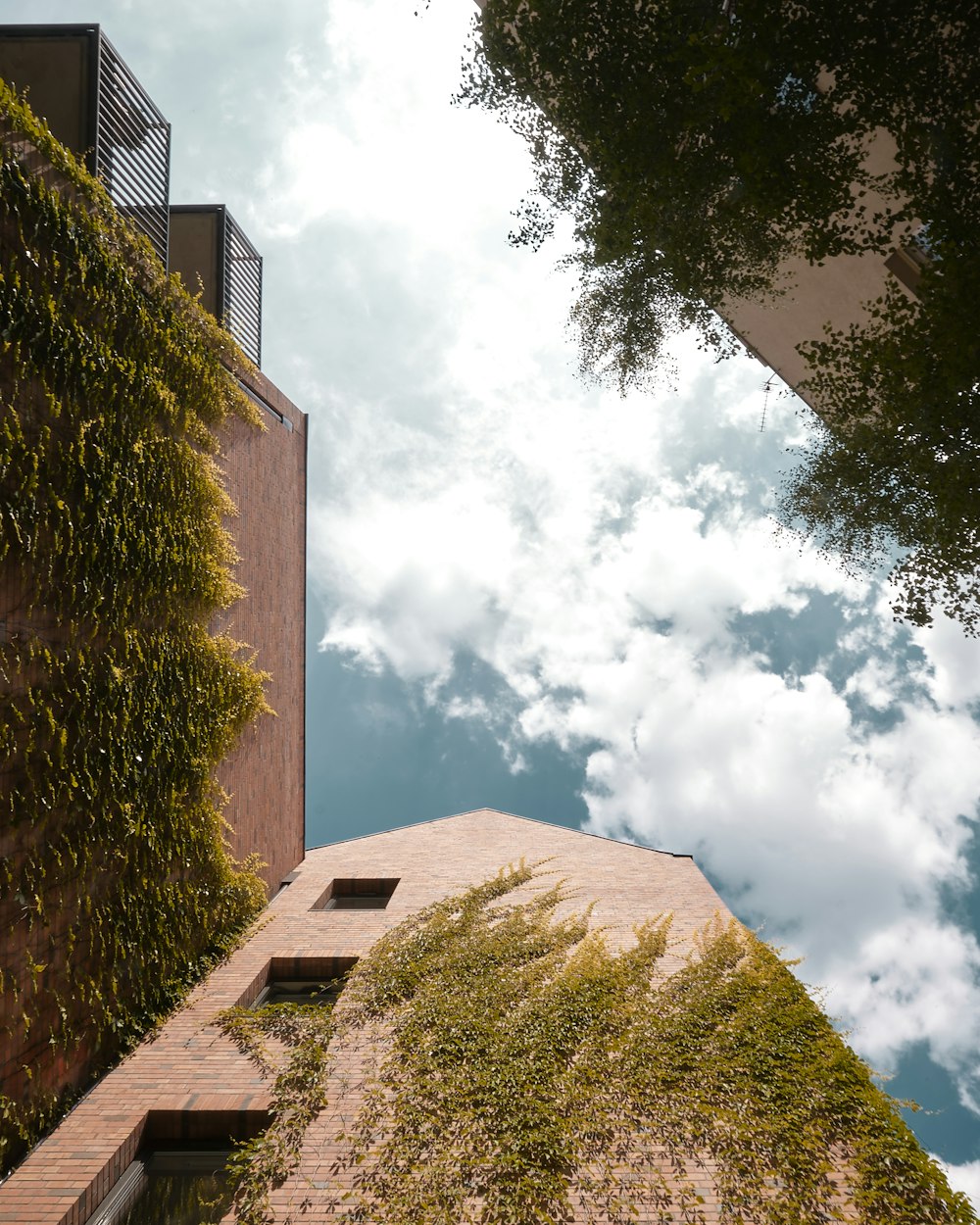 a building with trees in the front