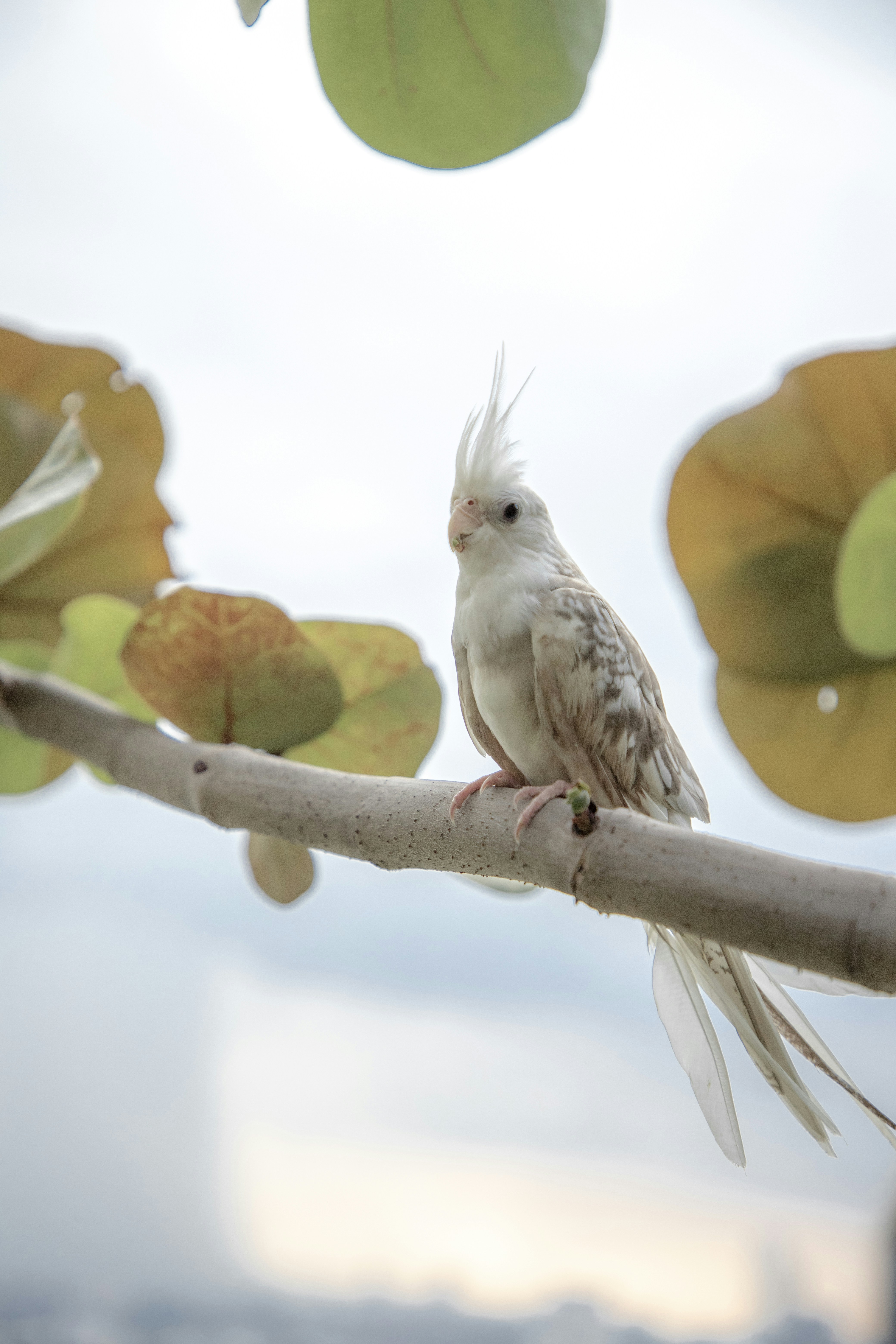 Photo by bahr_splash