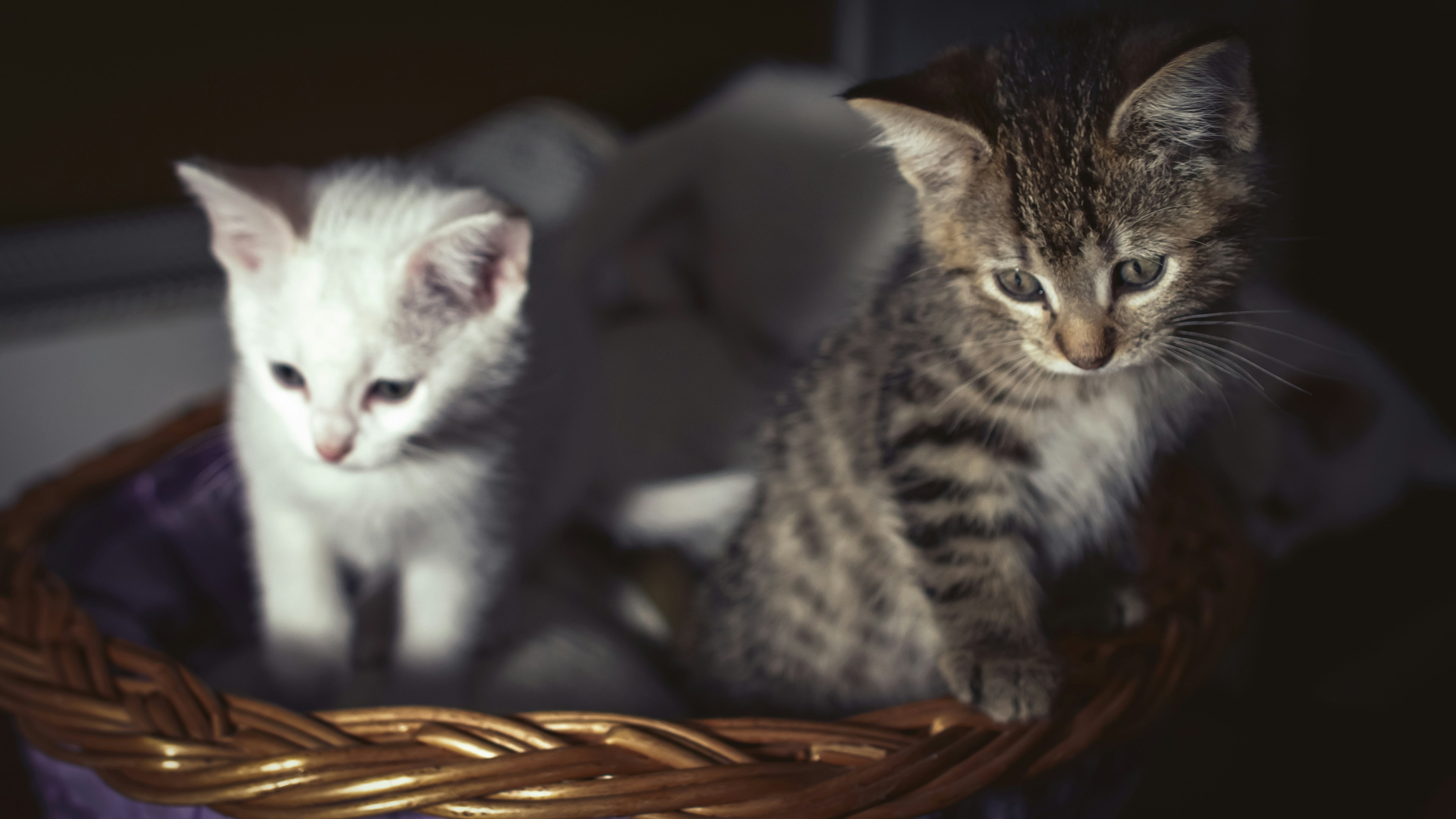 Photo by mark_burnett