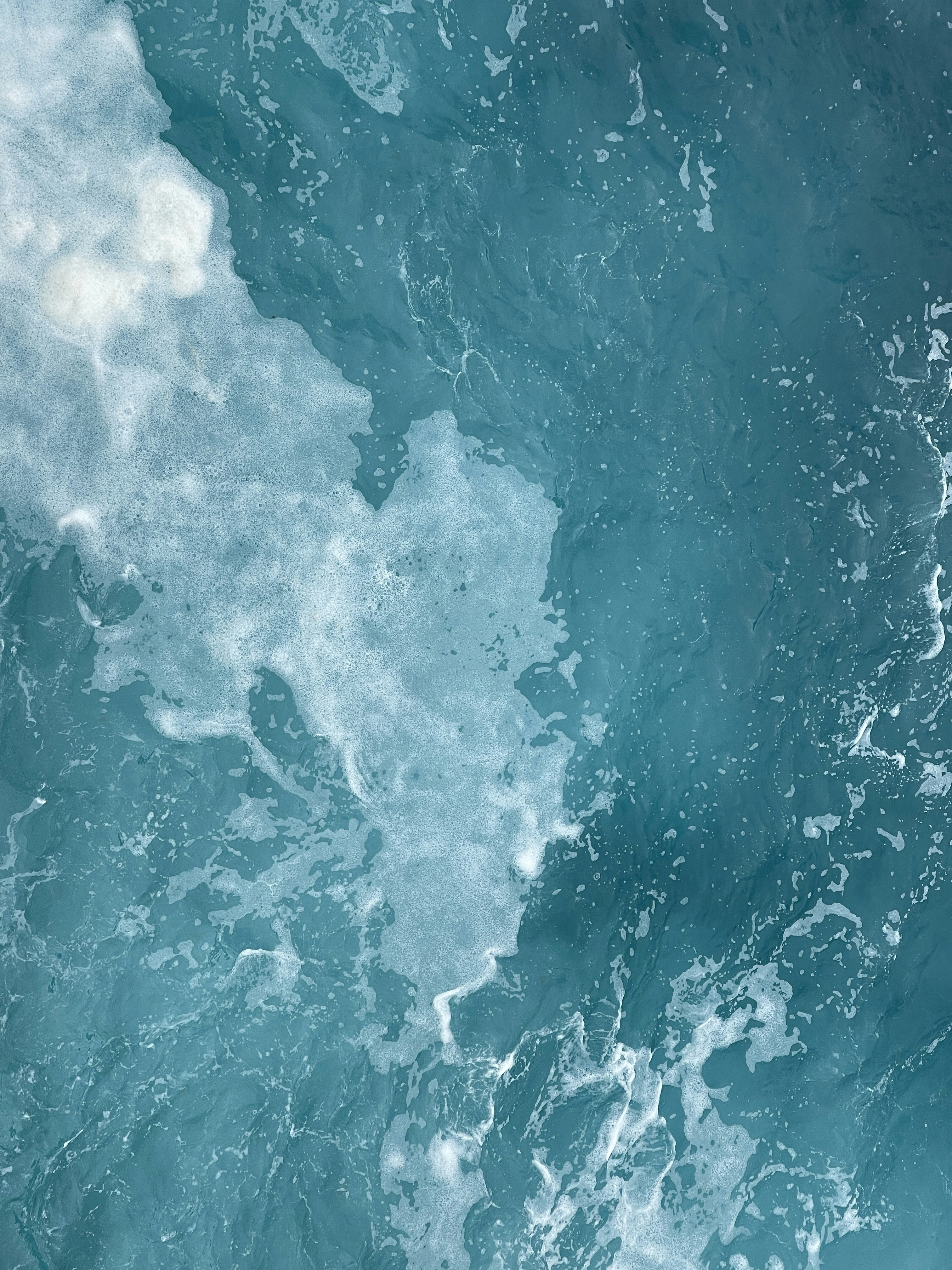 Photo by ollietulett