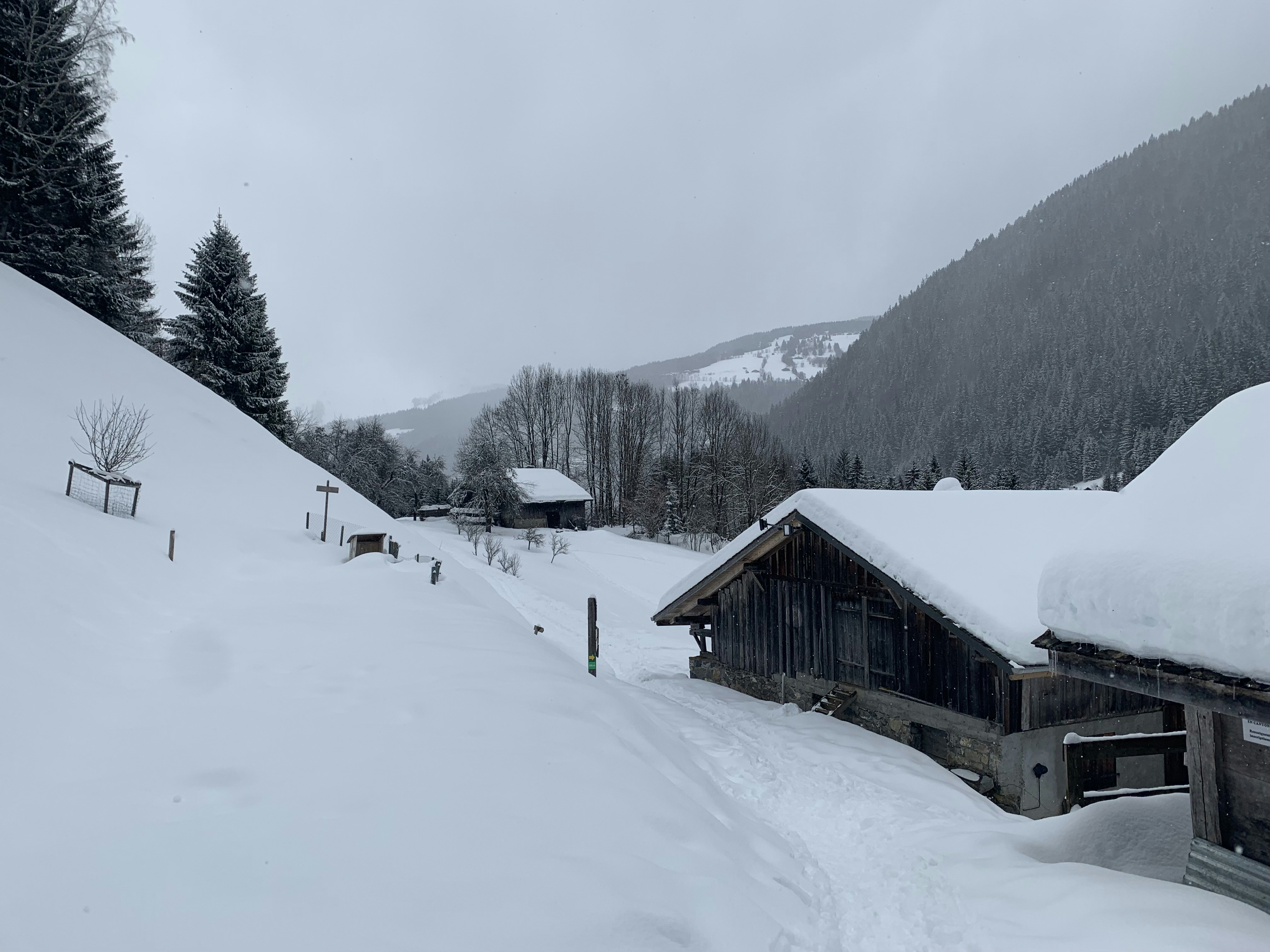 Photo by ollietulett