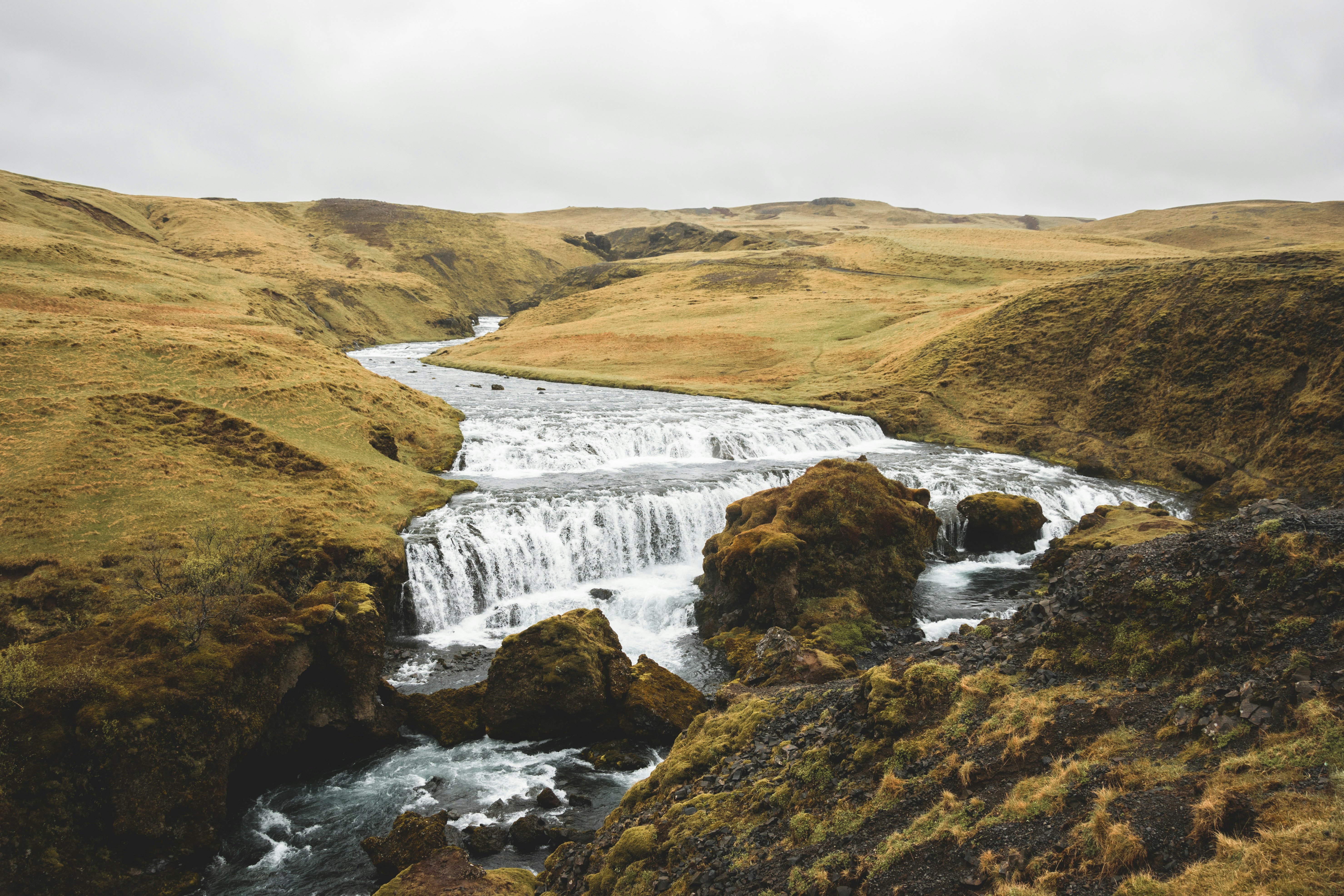 Photo by jobsavelsberg