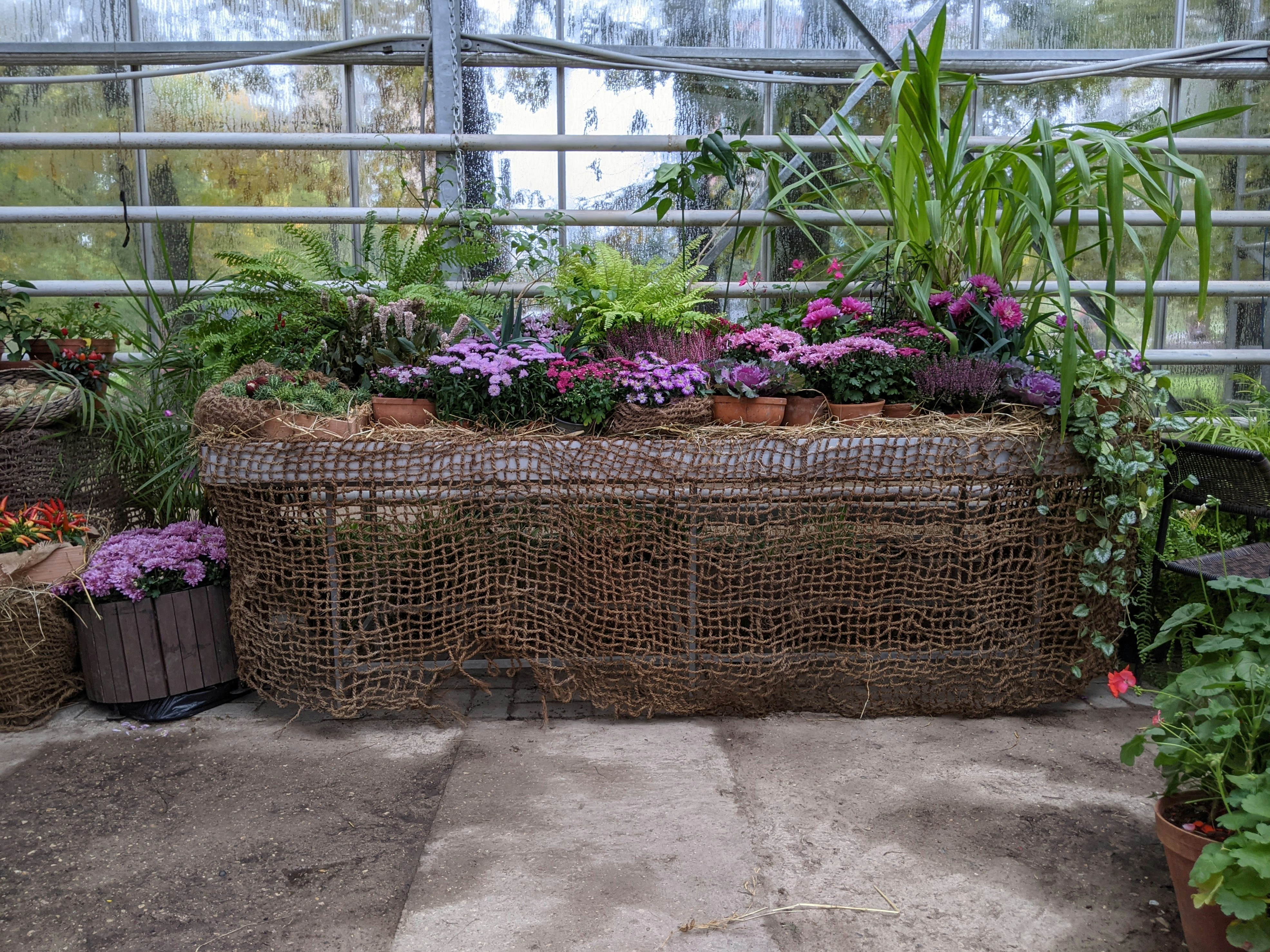 fabric raised garden beds for seniors
