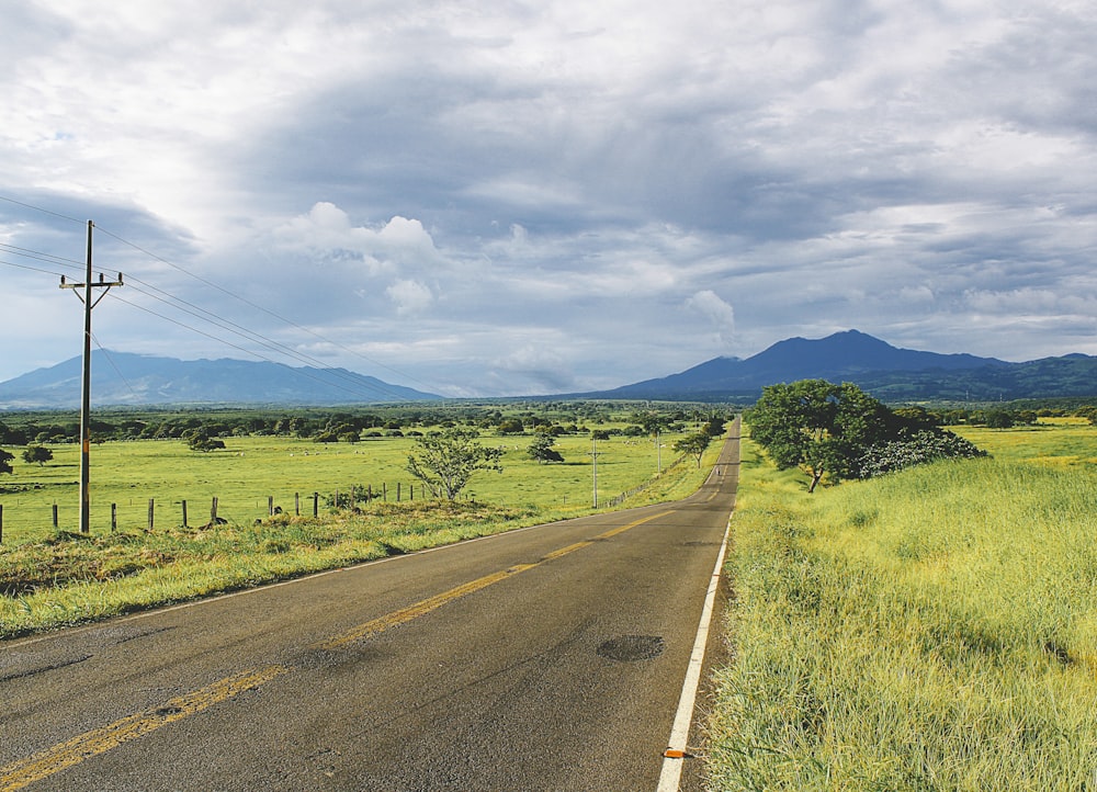 a road with grass and trees on the side