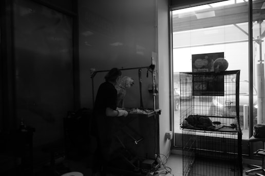 A person is grooming a dog inside a pet grooming studio. The room is dimly lit, with various grooming tools visible on a nearby table. A large window shows the outside, where parked cars can be seen. A cage is present, containing items related to pet care.