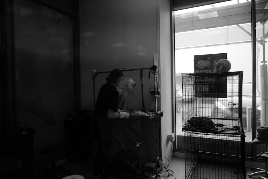 A person is grooming a dog inside a pet grooming studio. The room is dimly lit, with various grooming tools visible on a nearby table. A large window shows the outside, where parked cars can be seen. A cage is present, containing items related to pet care.