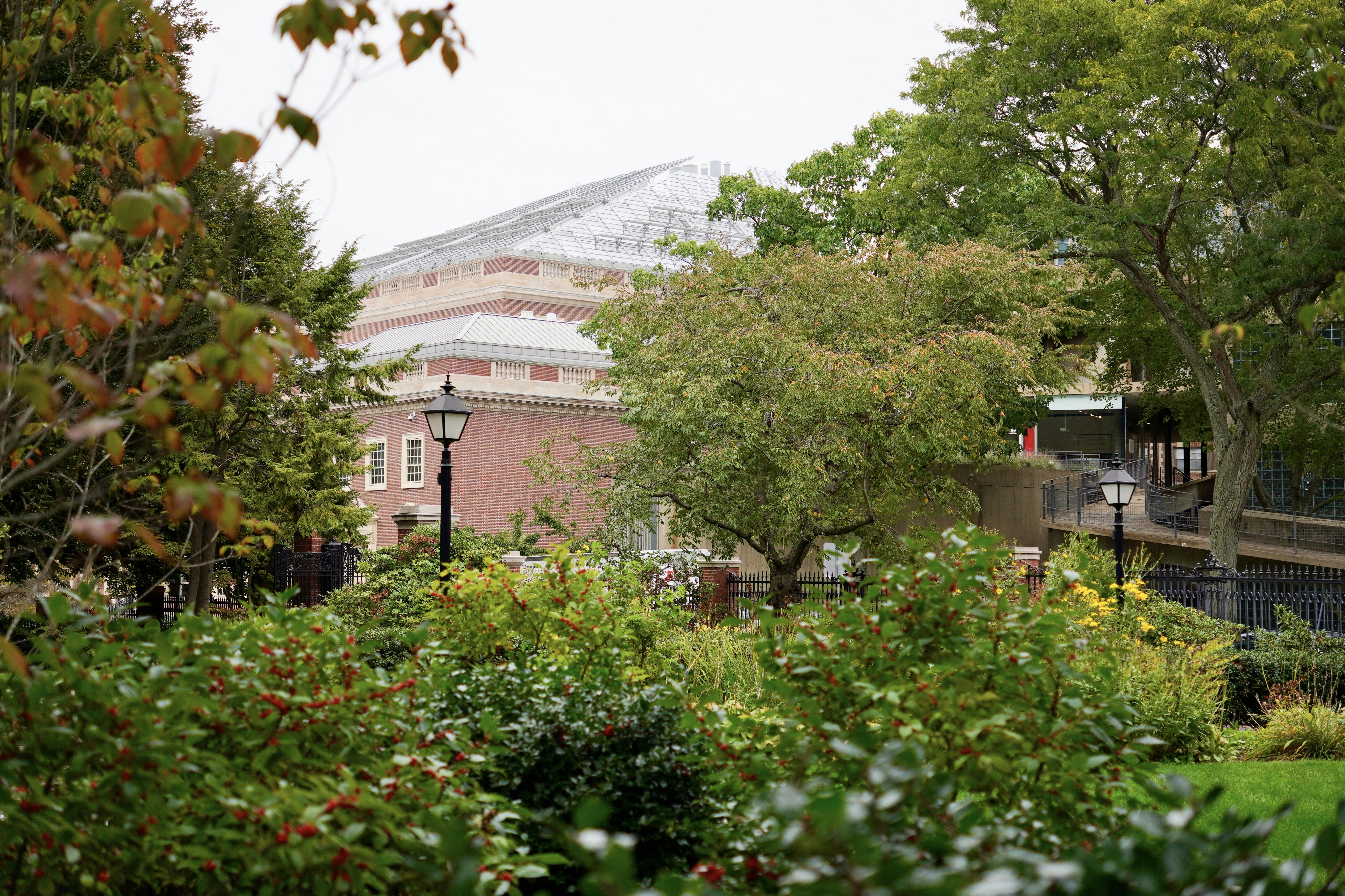 University garden with trees and building