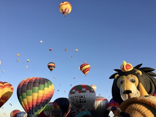 a group of hot air balloons in the sky