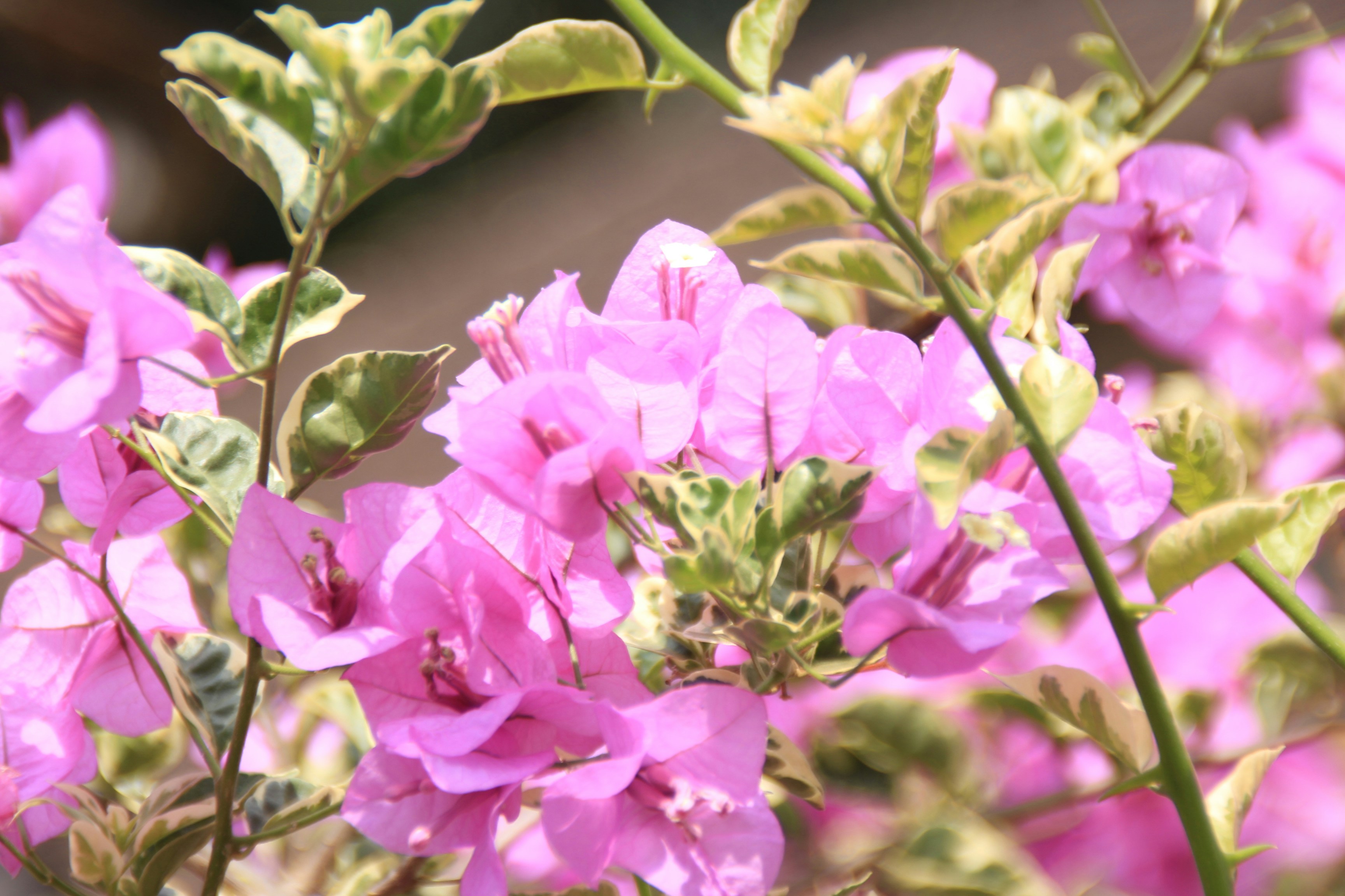 Photo by beart_studio