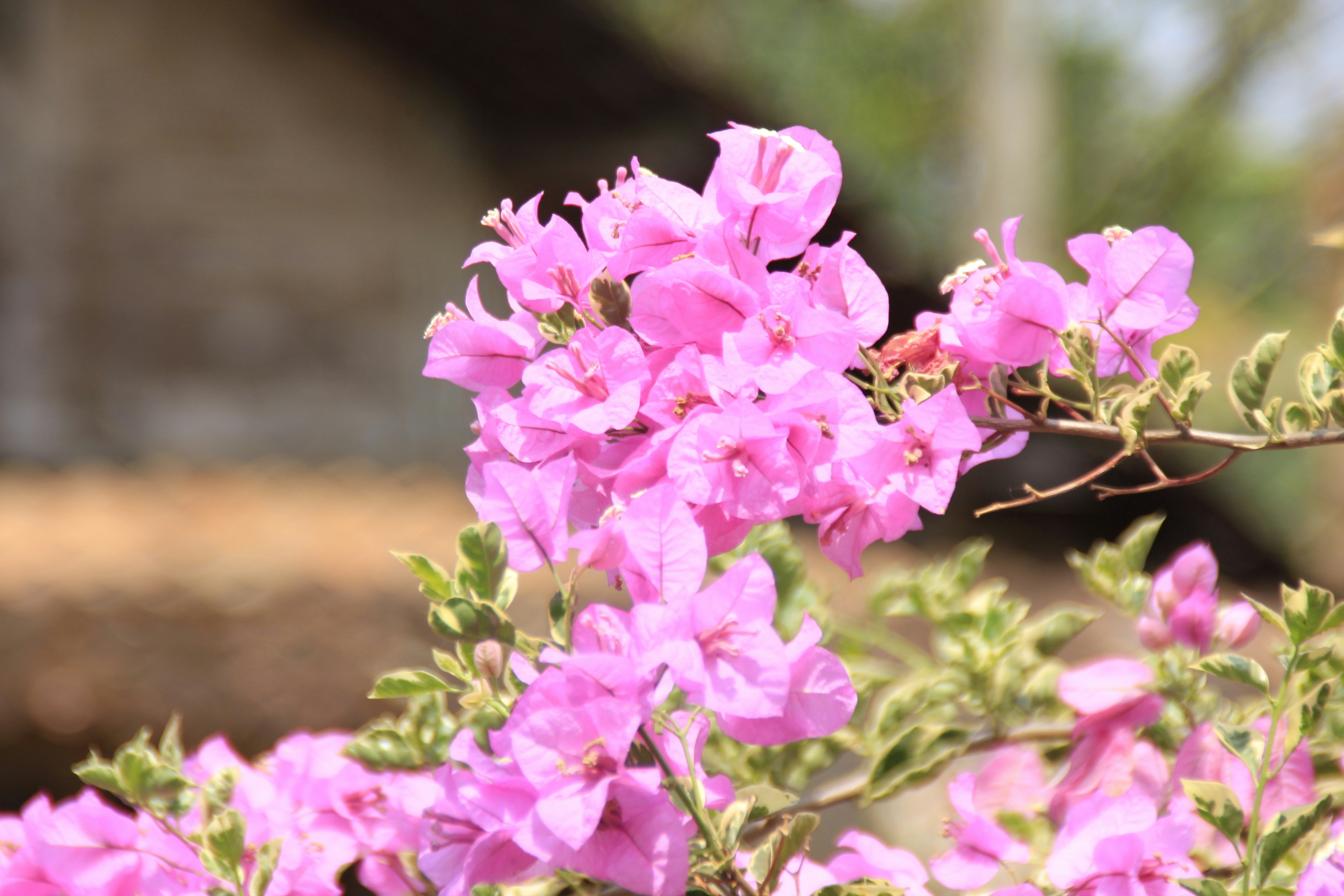 Photo by beart_studio