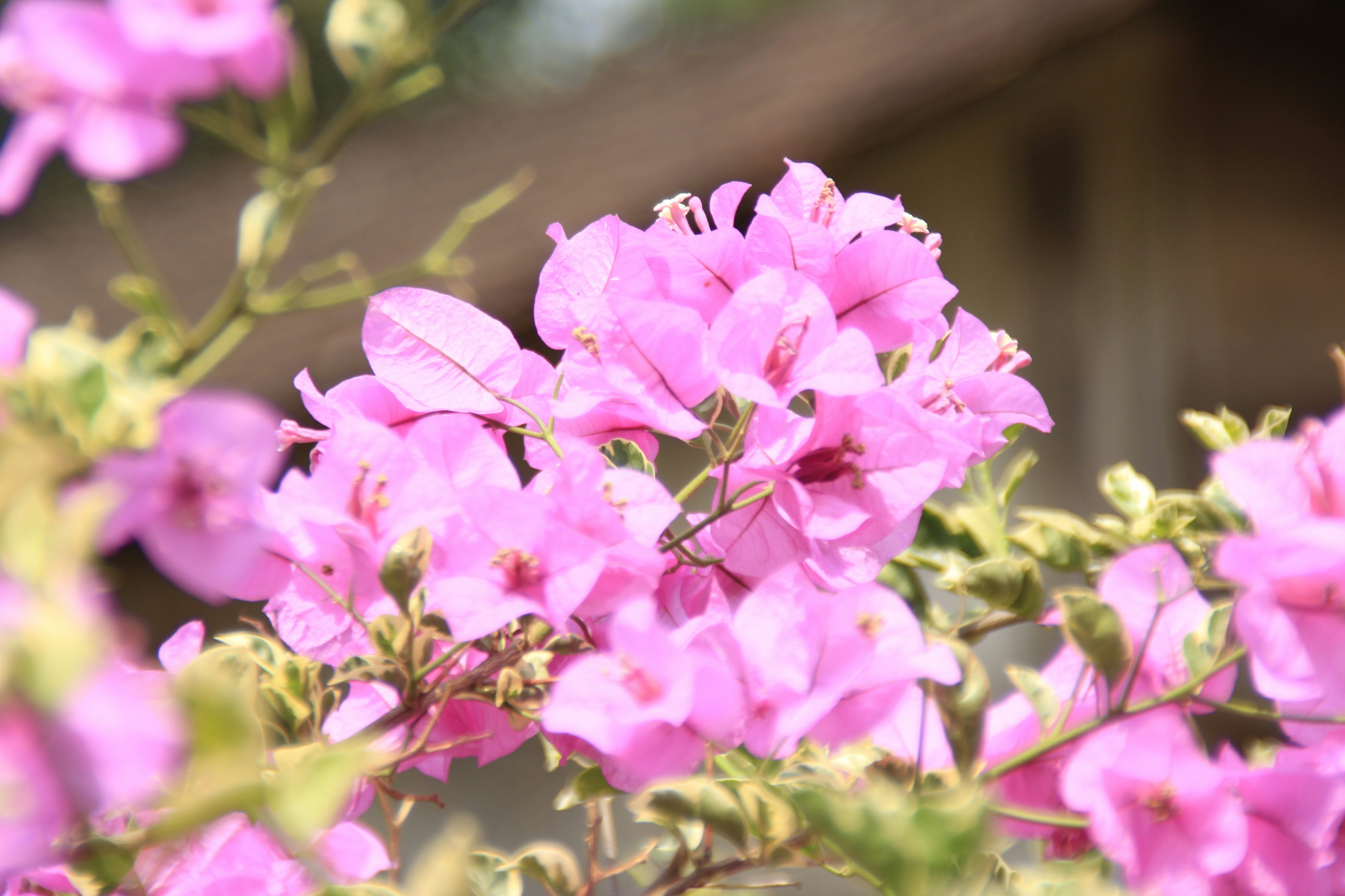 Photo by beart_studio