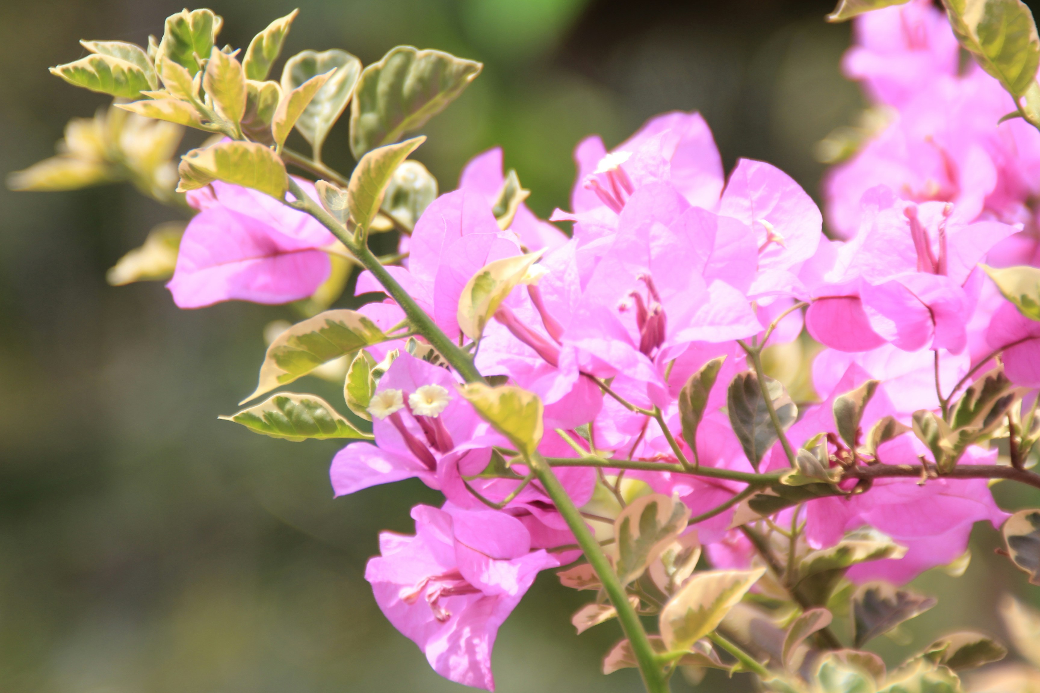 Photo by beart_studio