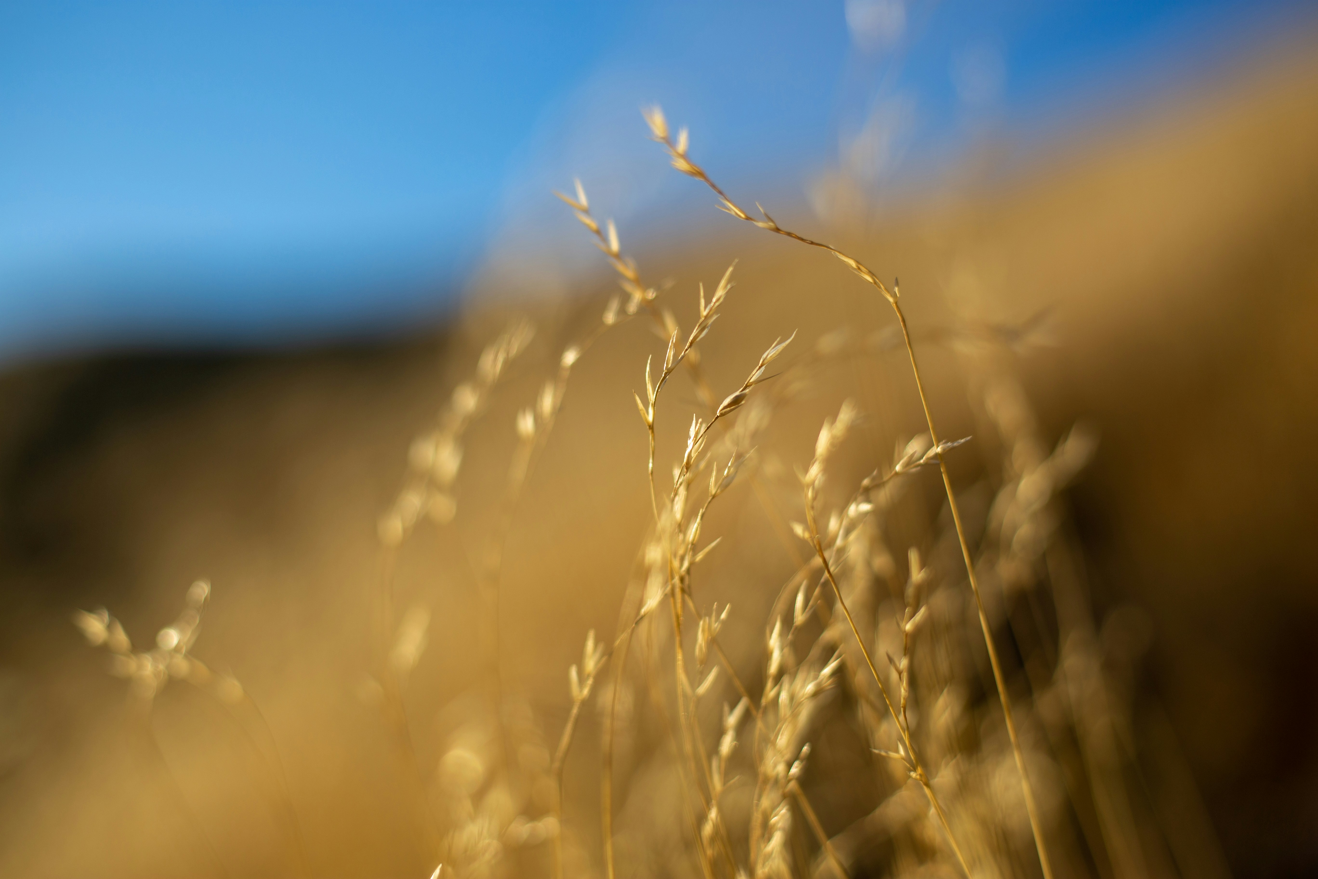 Photo by michelelana