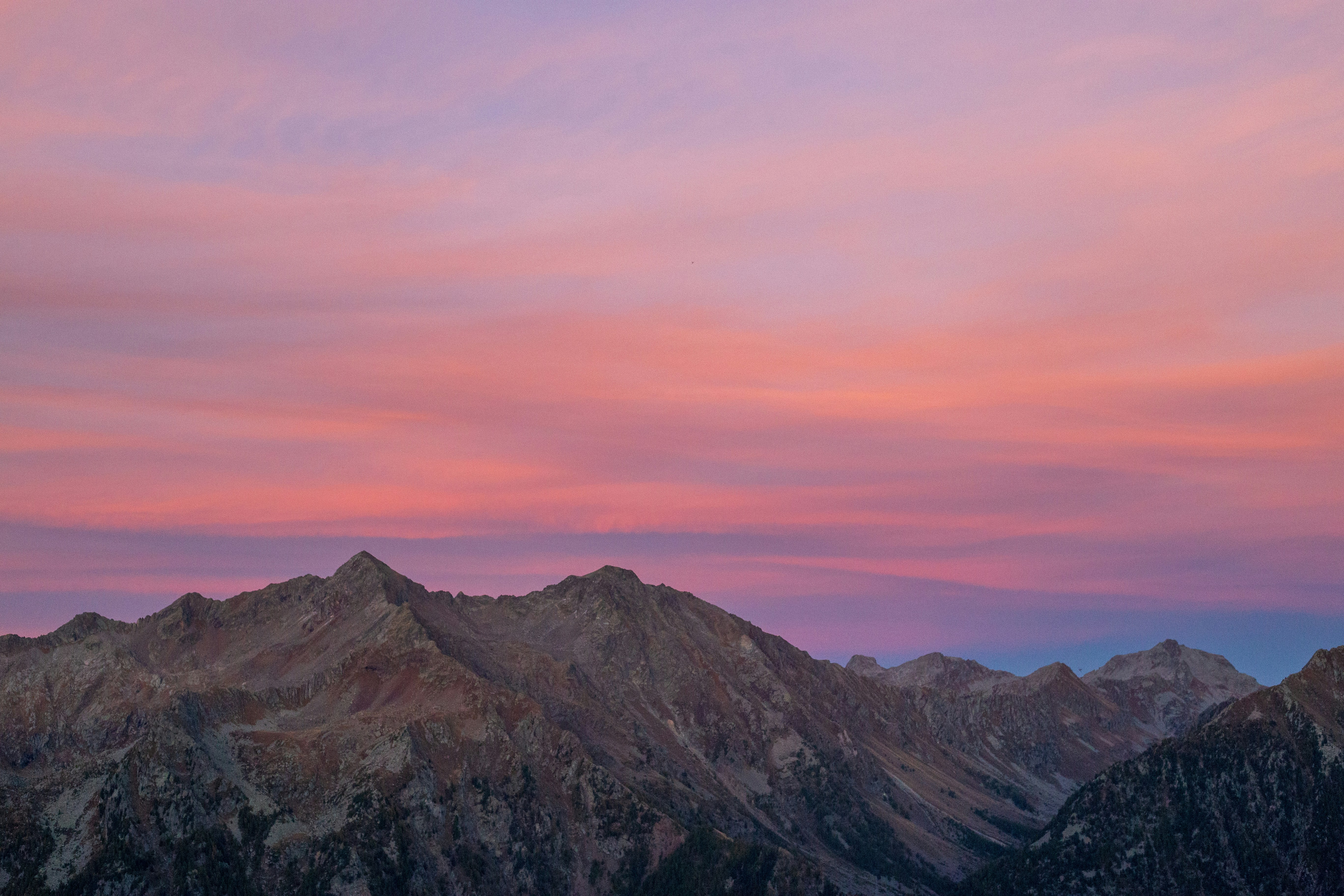 Photo by michelelana