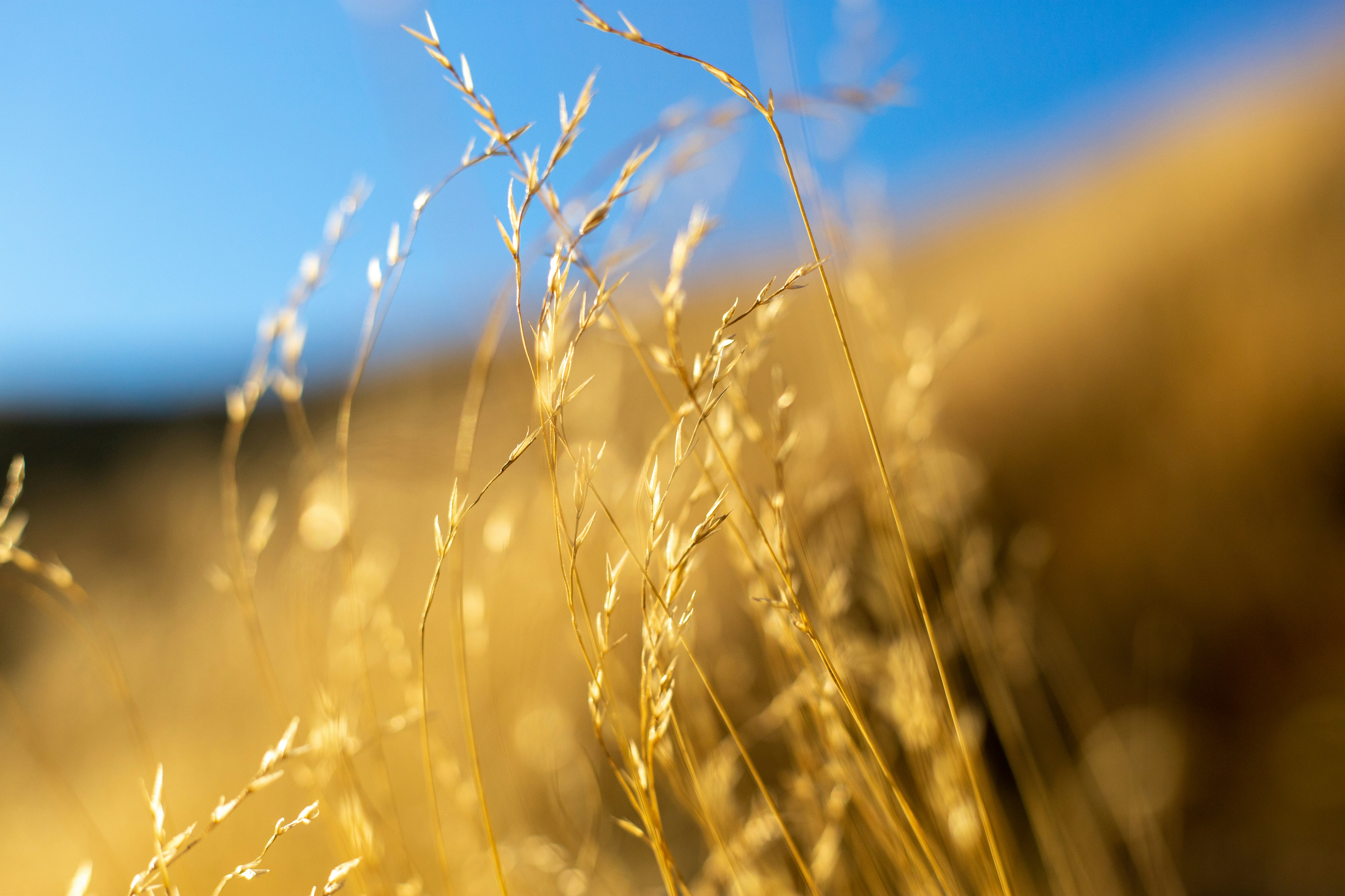 Photo by michelelana