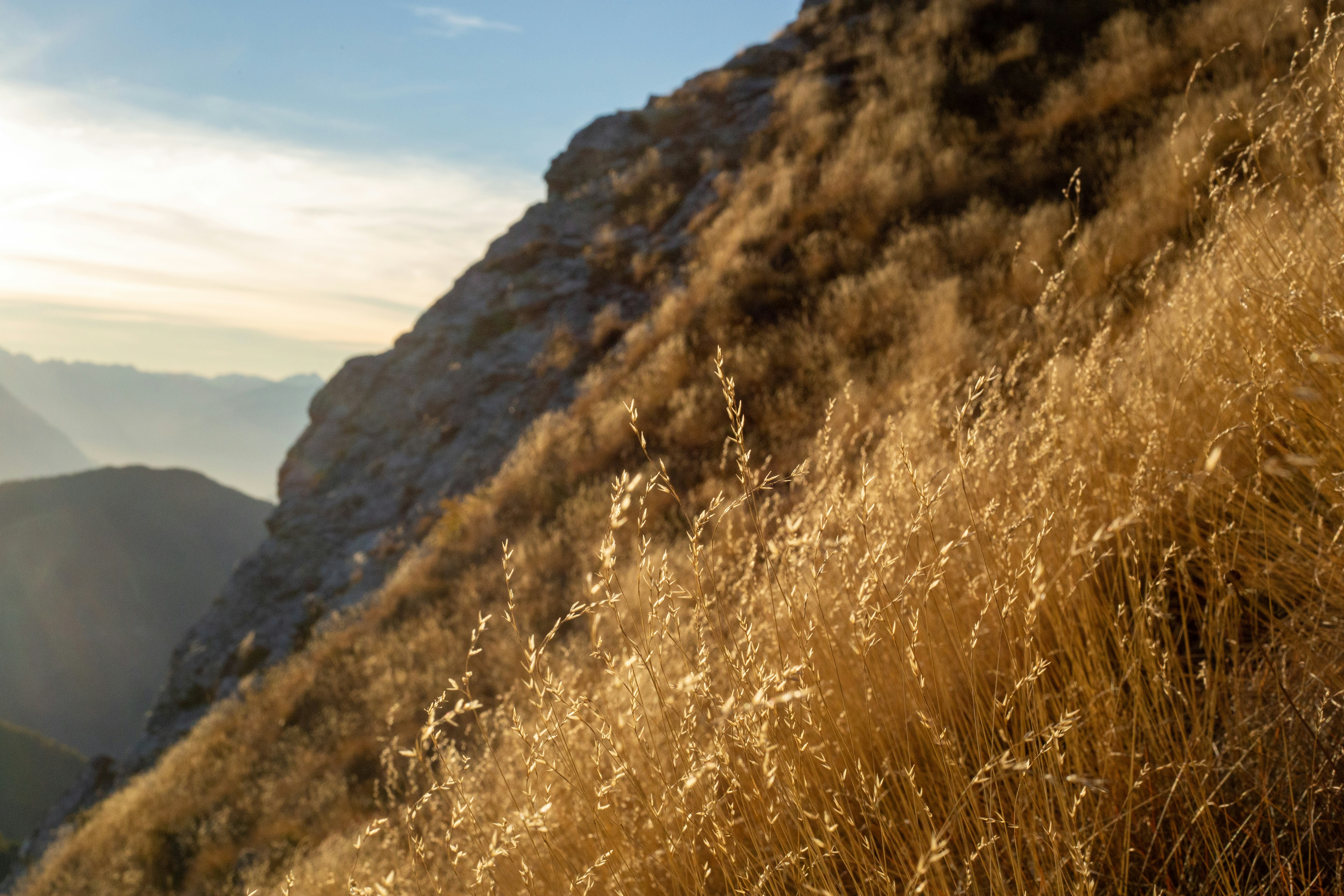 Photo by michelelana