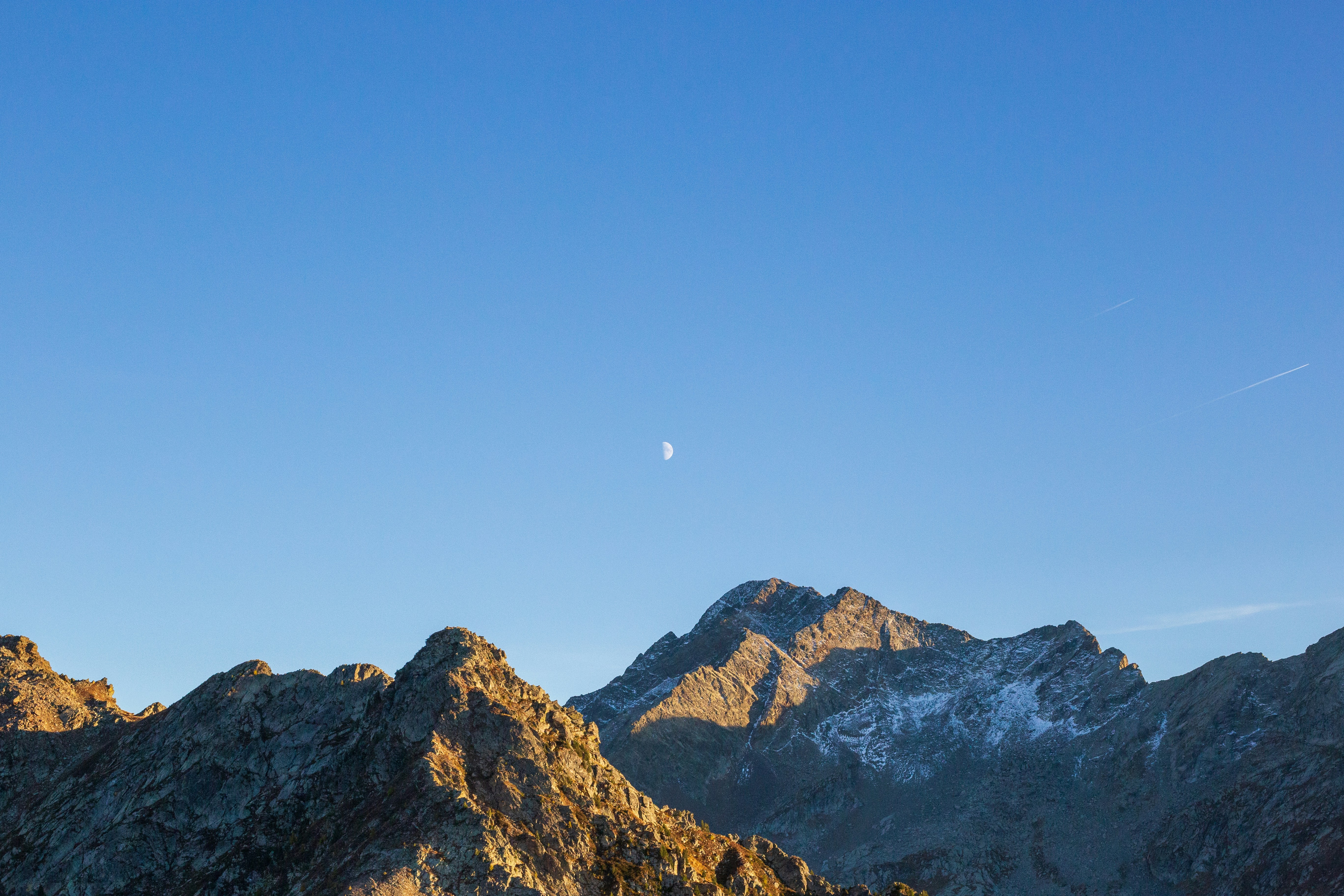 Photo by michelelana