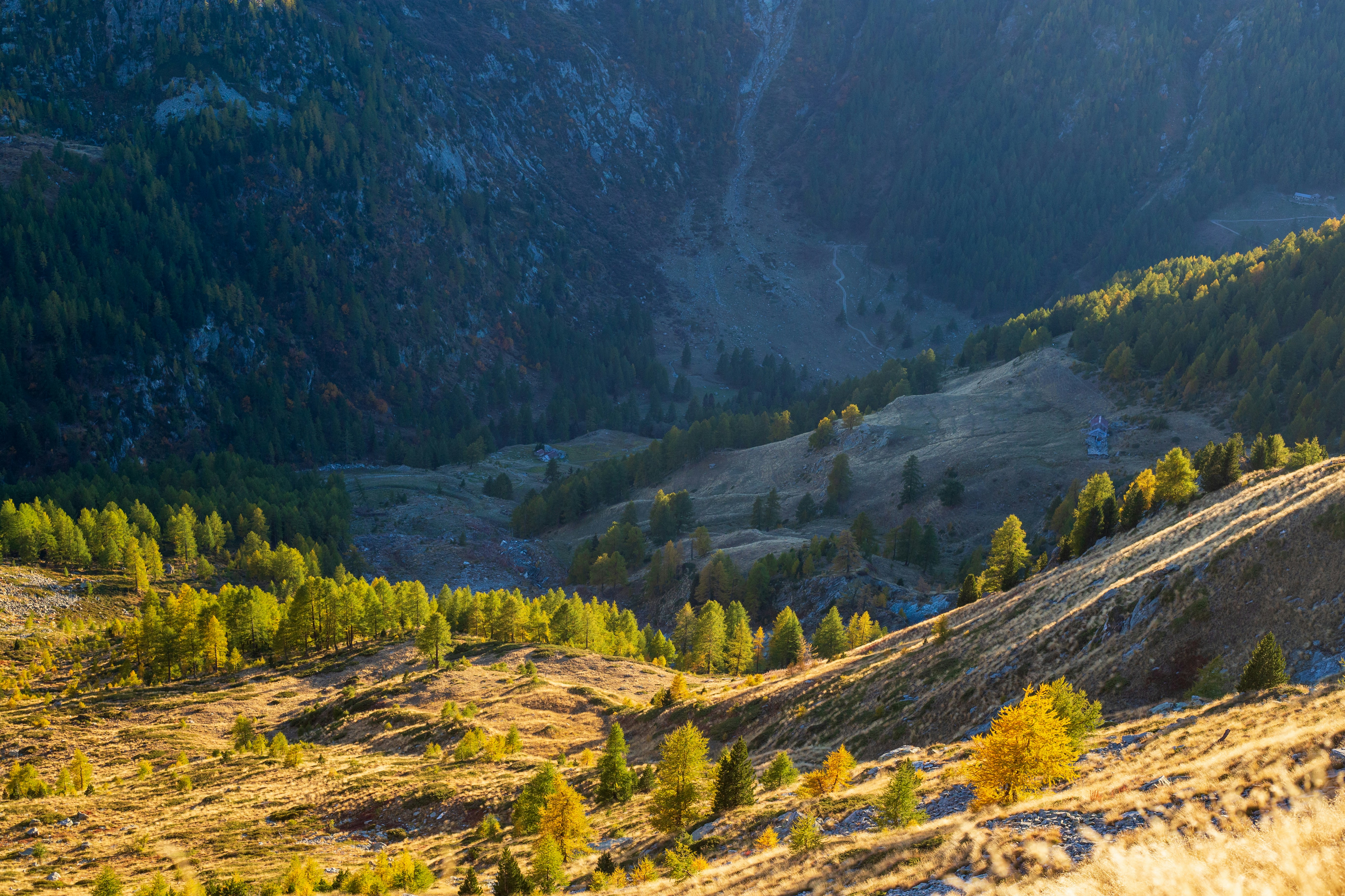 Photo by michelelana