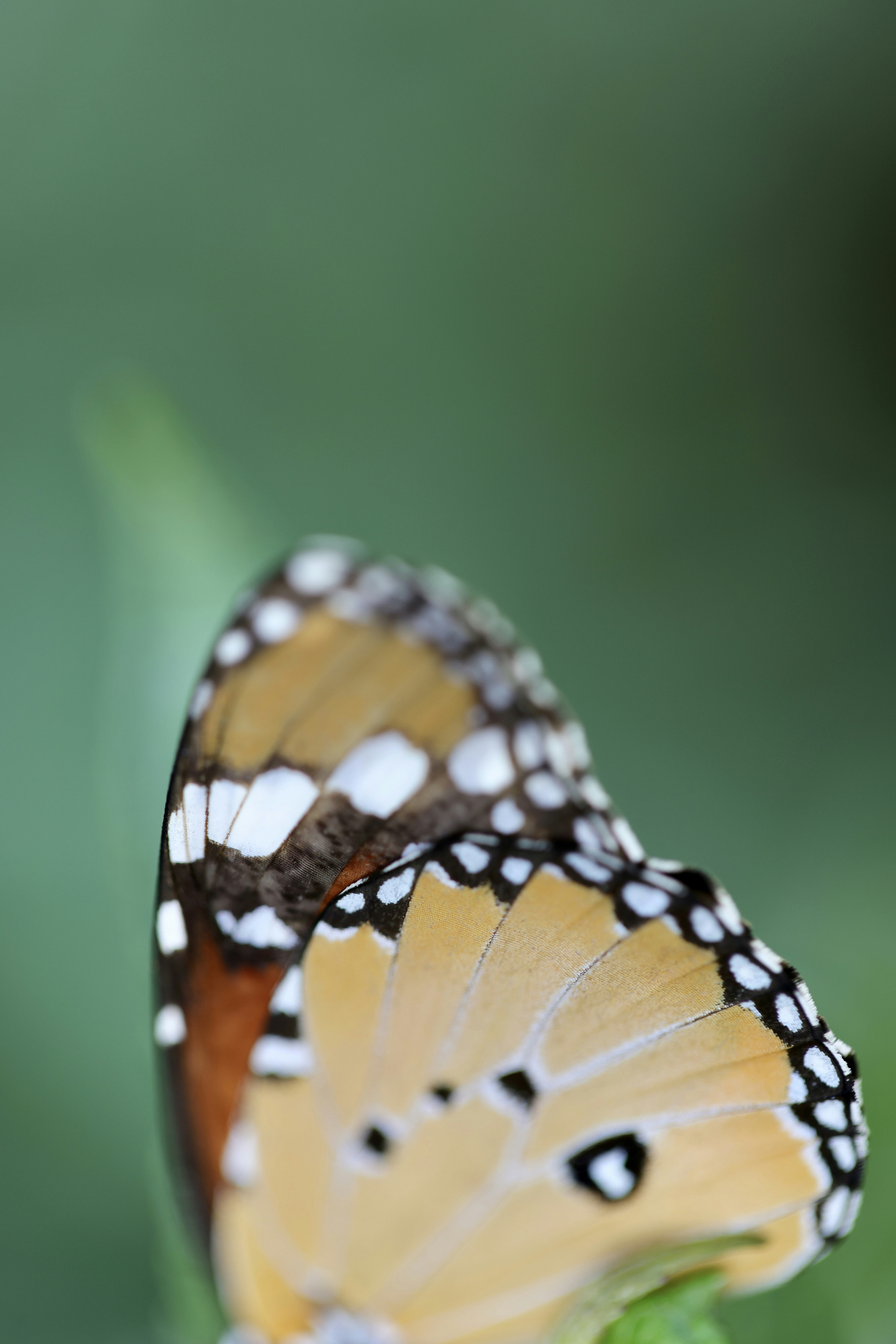 Photo by dickenslin76