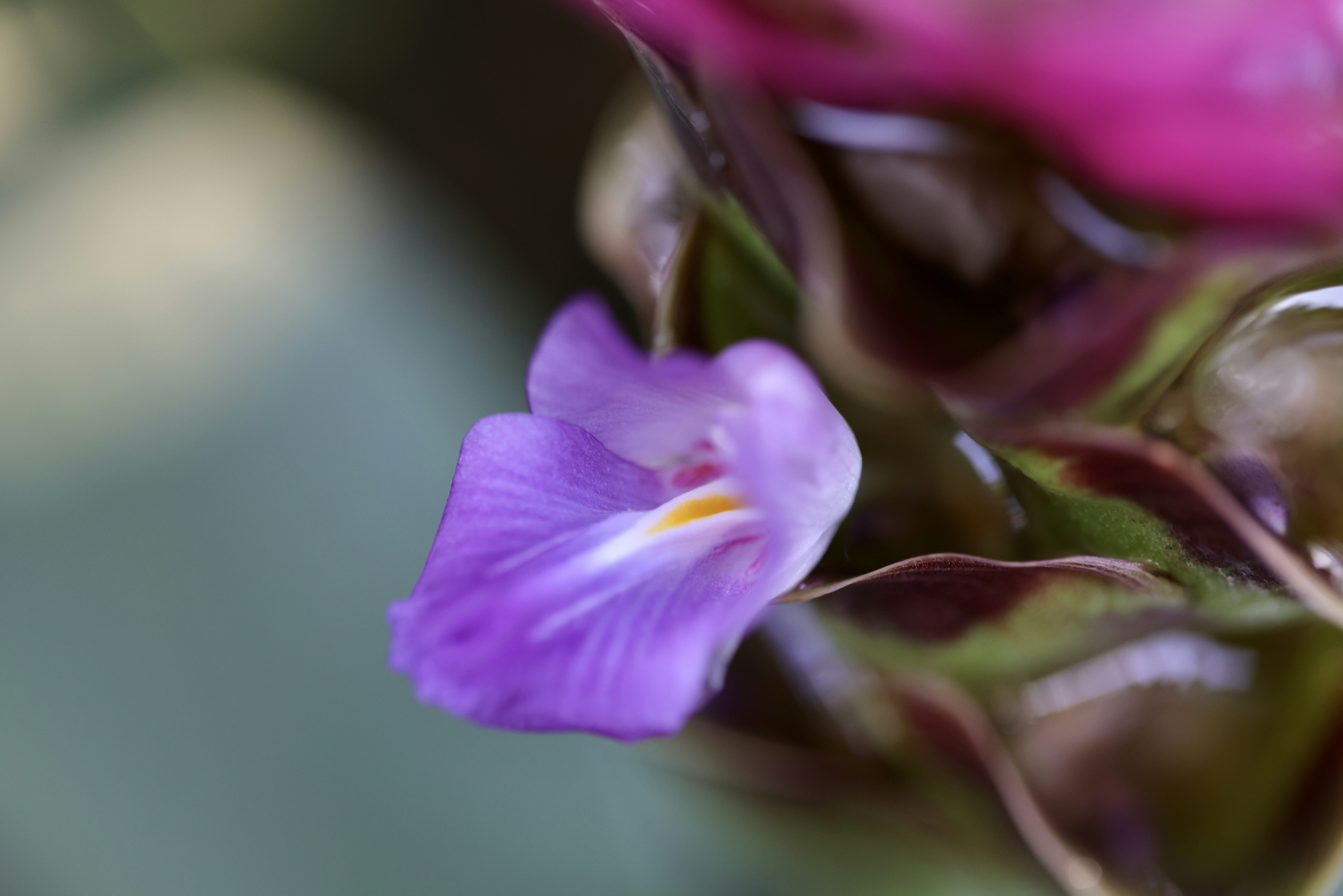 Photo by dickenslin76