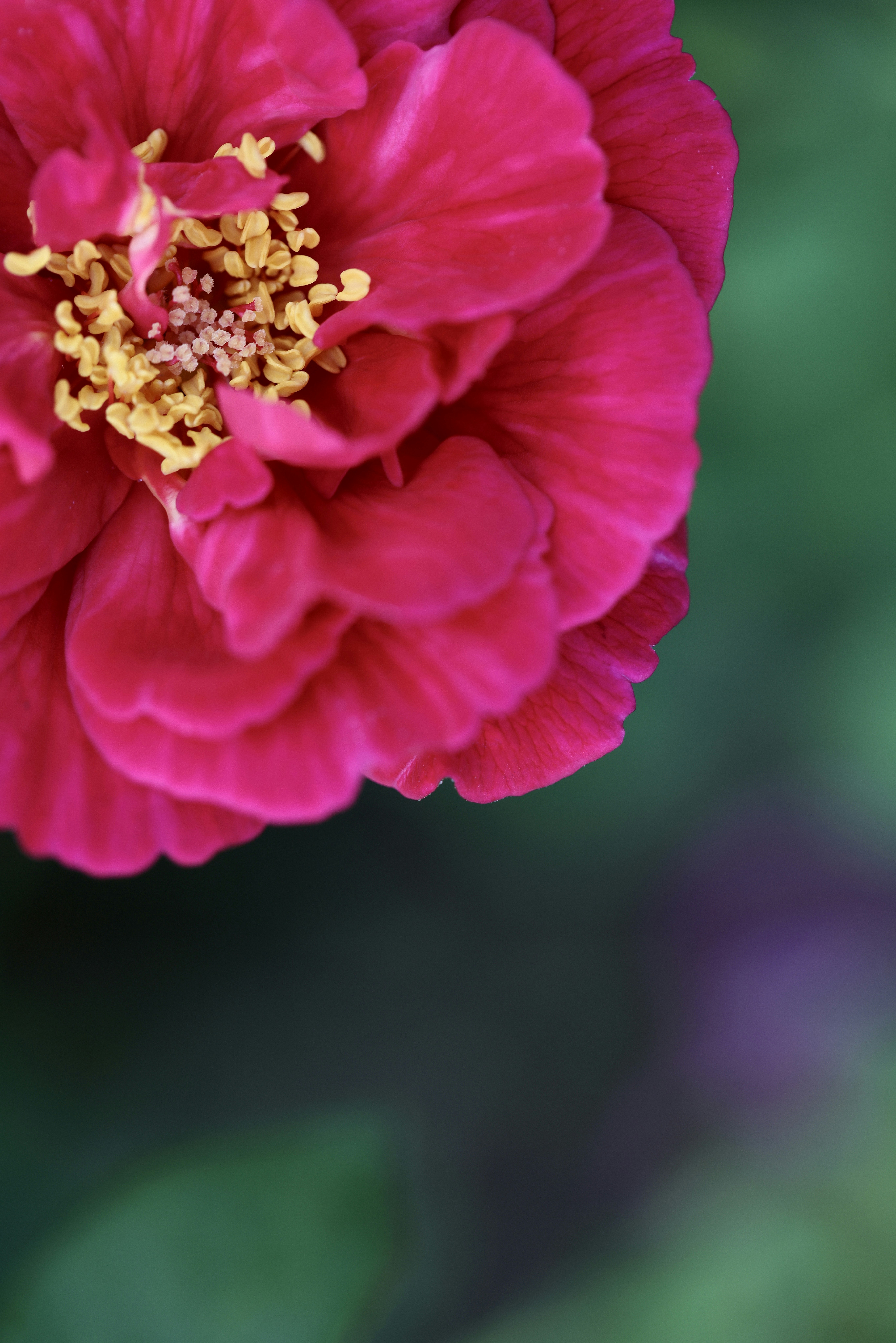 Photo by dickenslin76