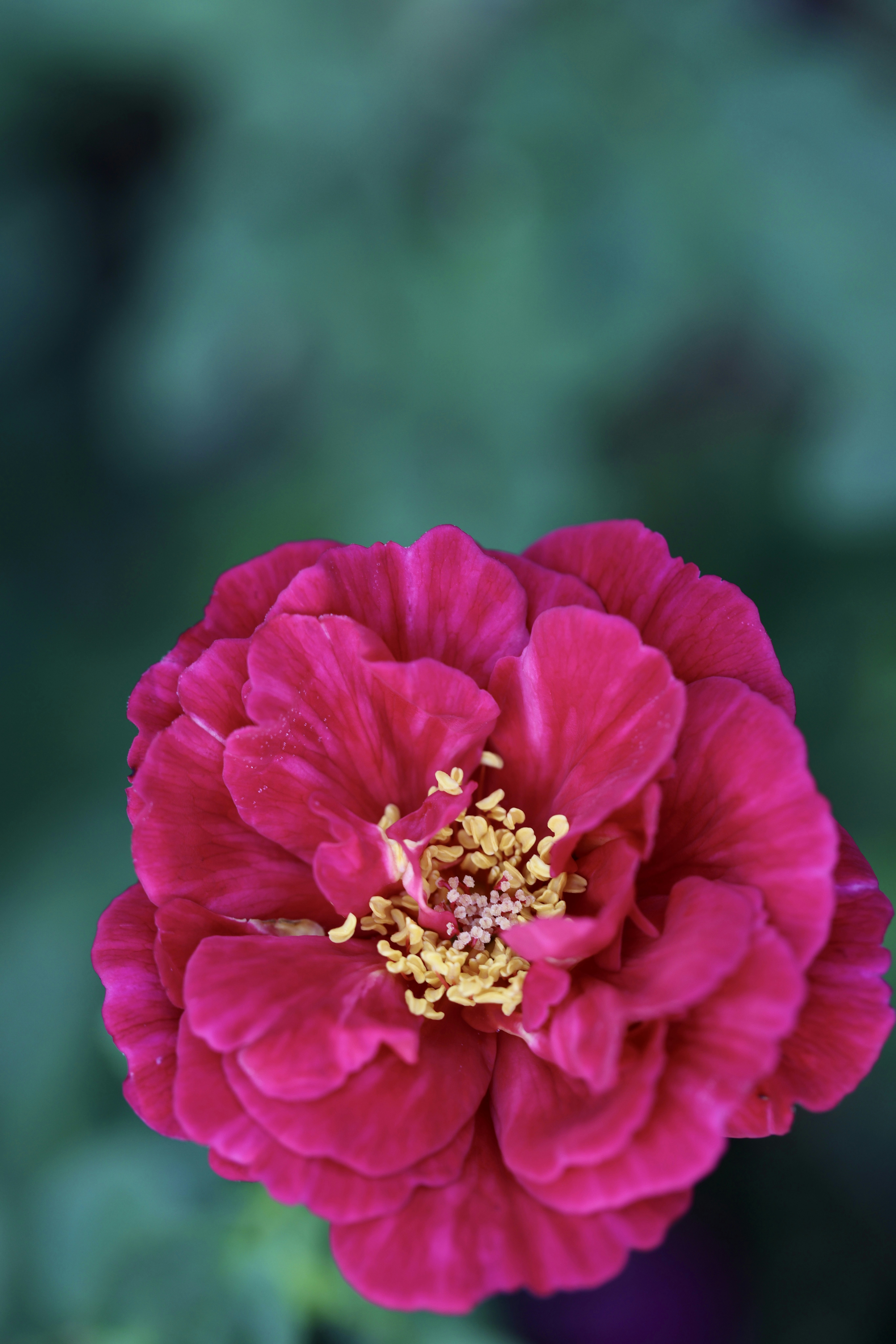 Photo by dickenslin76