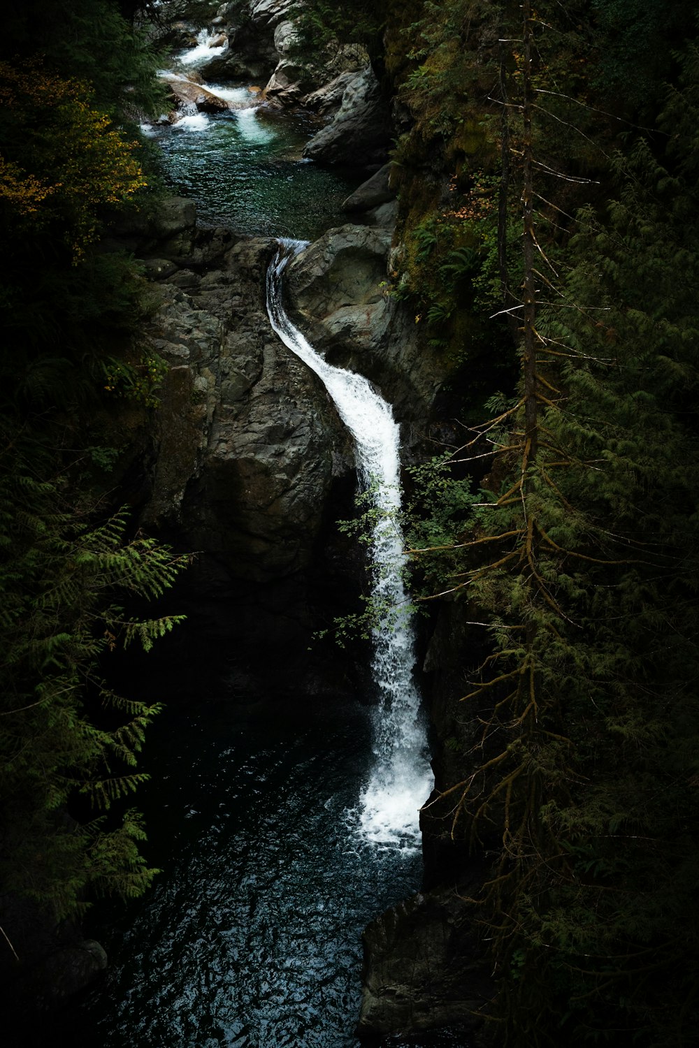 a waterfall in a forest