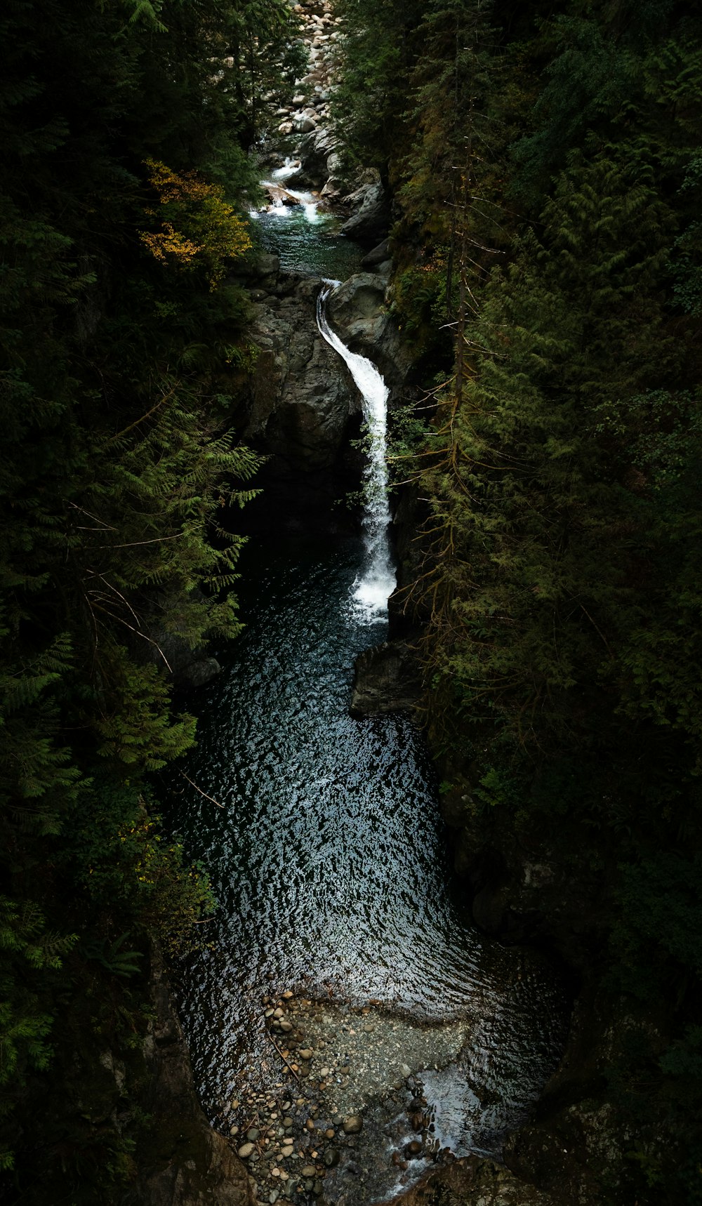 a waterfall in a forest