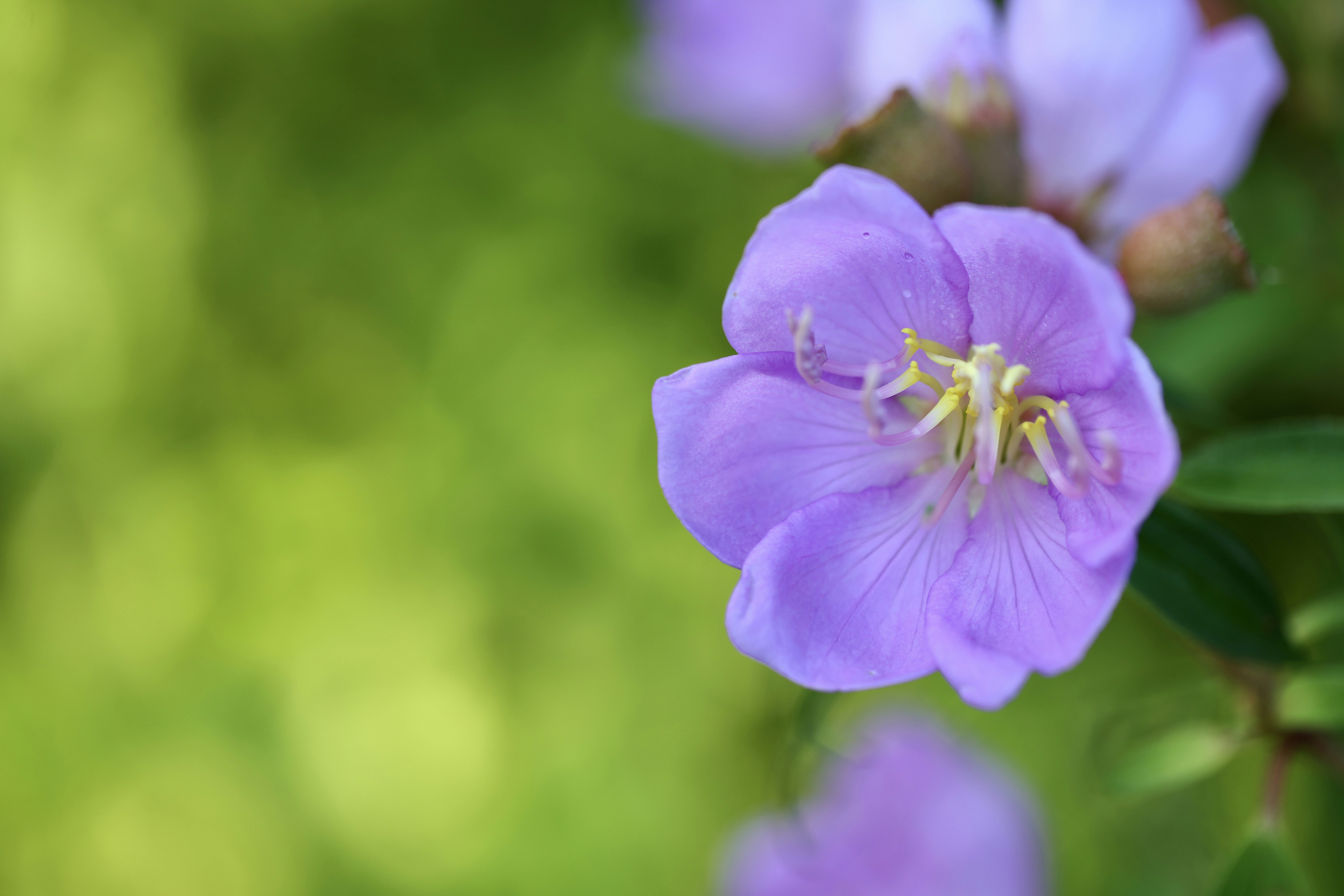 Photo by dickenslin76