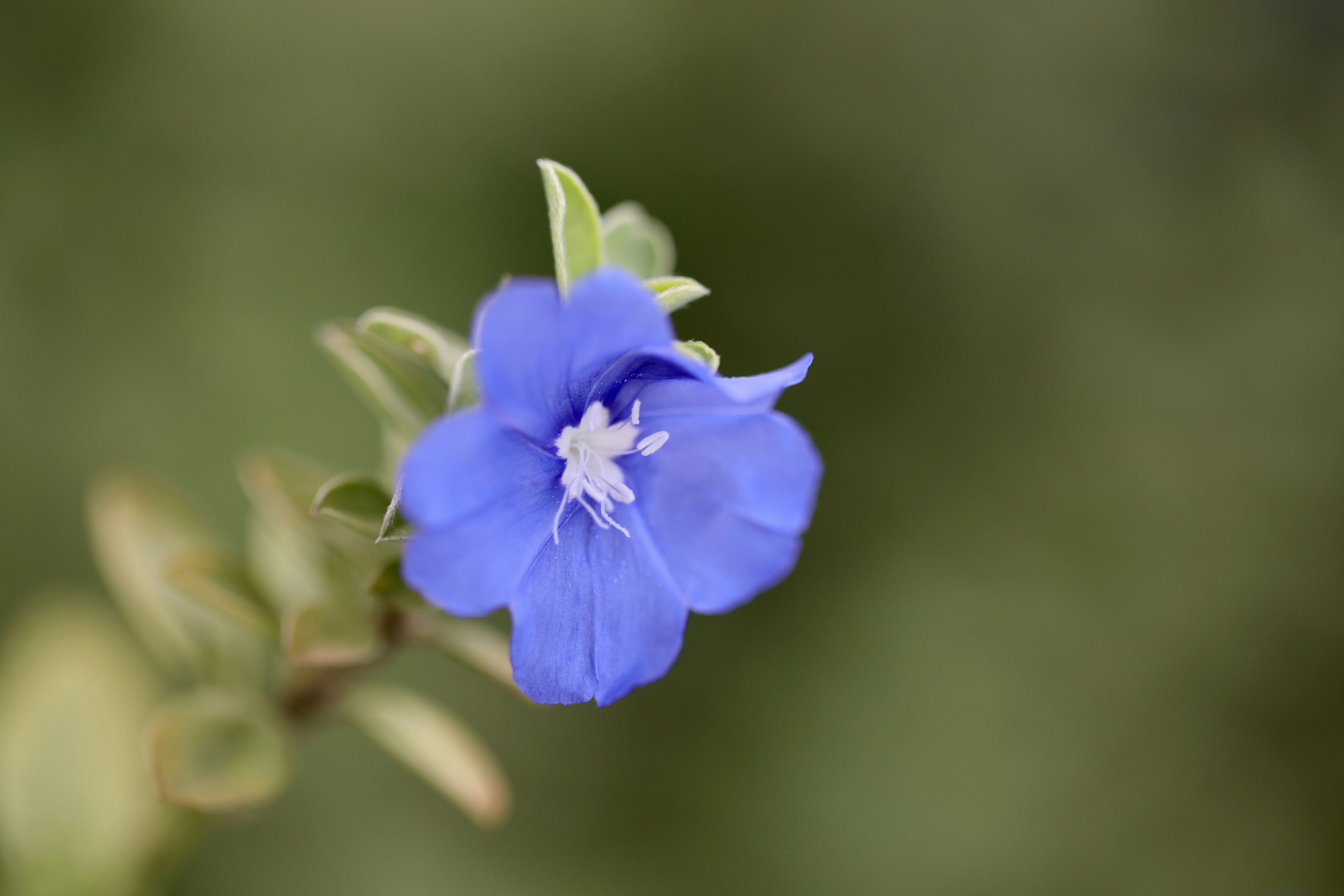 Photo by dickenslin76