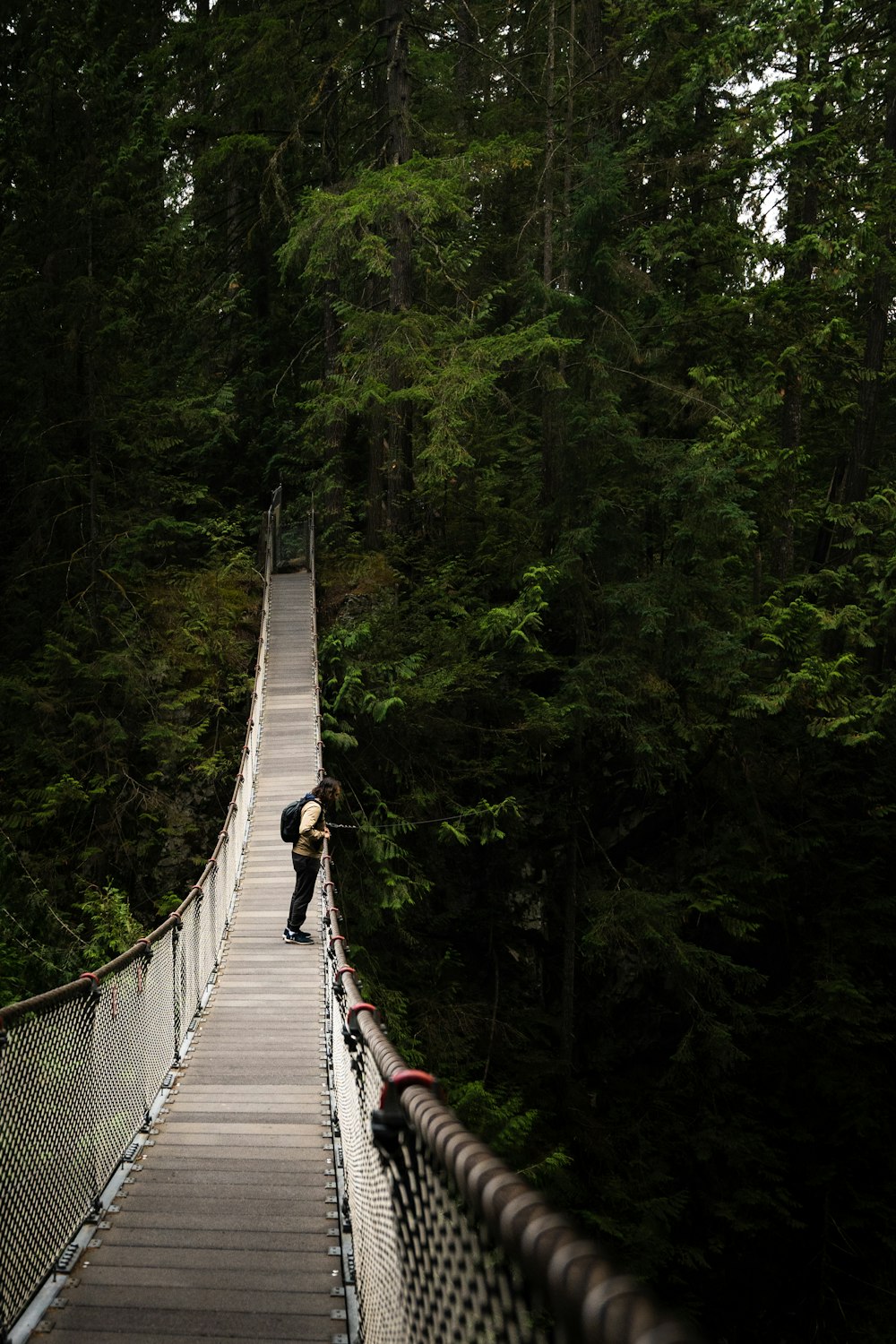a person walking on a suspension bridge