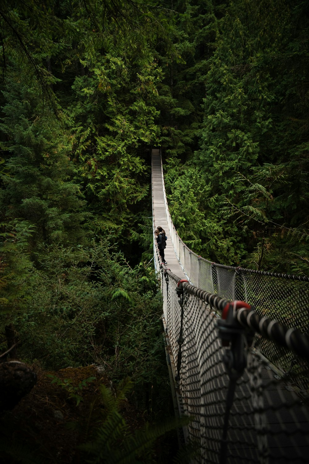 a person walking on a suspension bridge