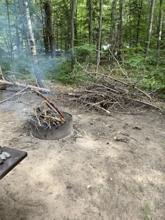 A forested area with a fire pit containing a small bundle of branches and a few rocks placed on the nearby wooden surface. Surrounding the fire pit are piles of dry branches and scattered twigs. The ground is covered in dirt, and the background consists of dense green foliage and tall trees, creating a serene woodland setting.