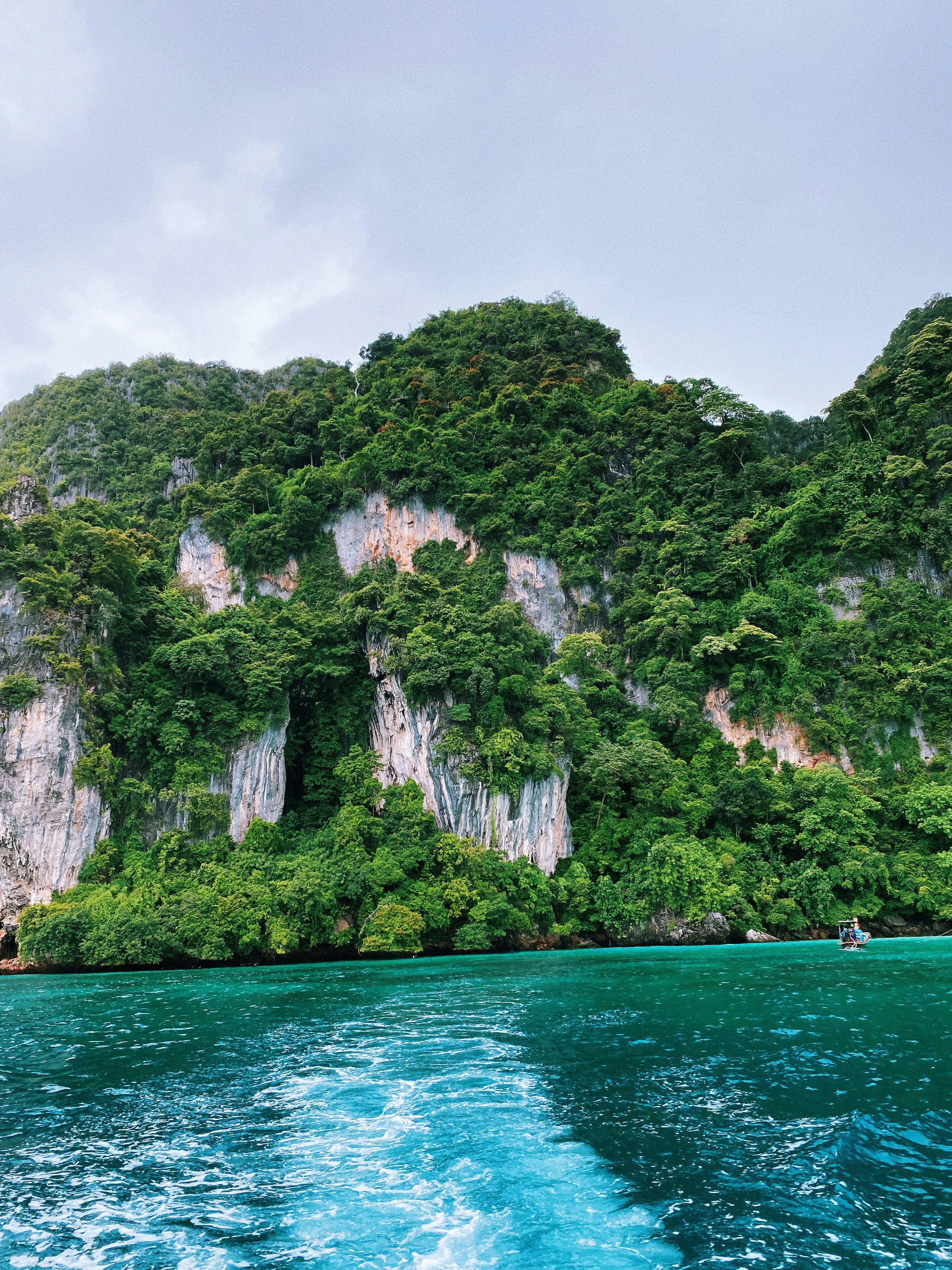 Photo by oceanscurrent