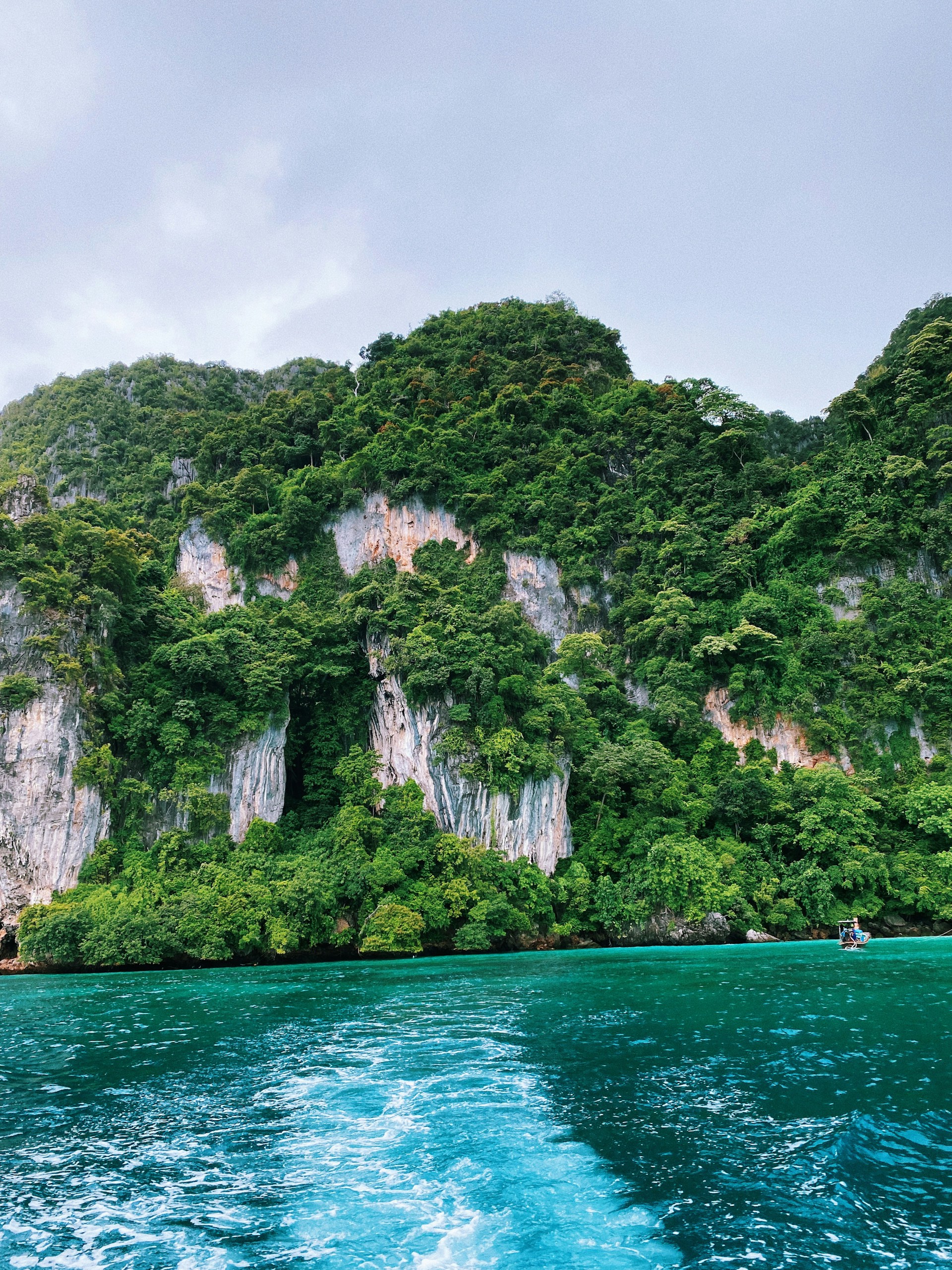 a cliff with trees and water below