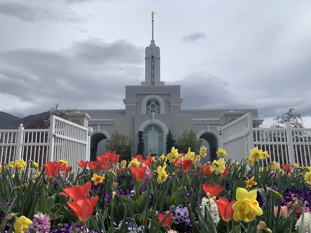 a group of flowers in front of a church