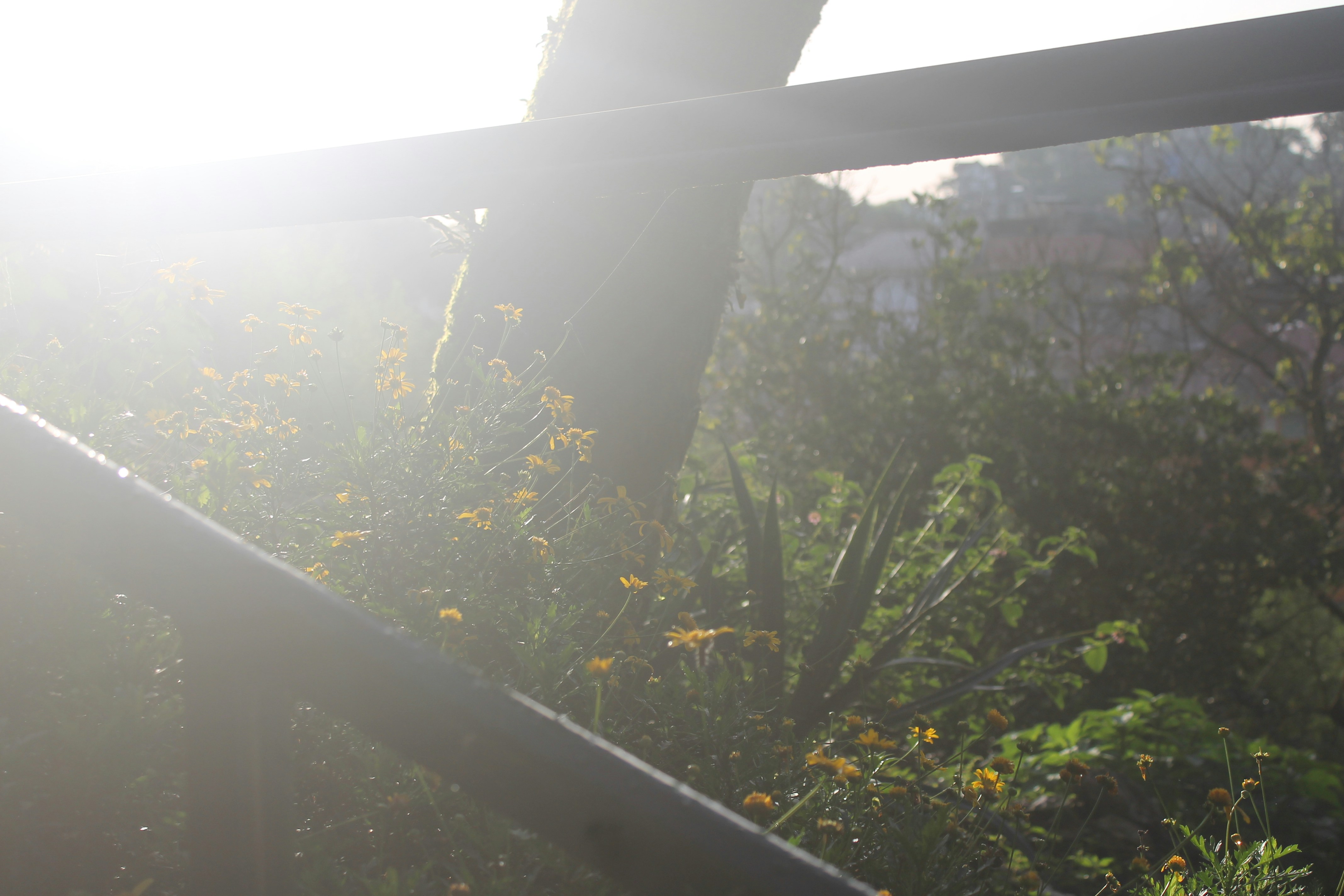 Photo by nninathatsme