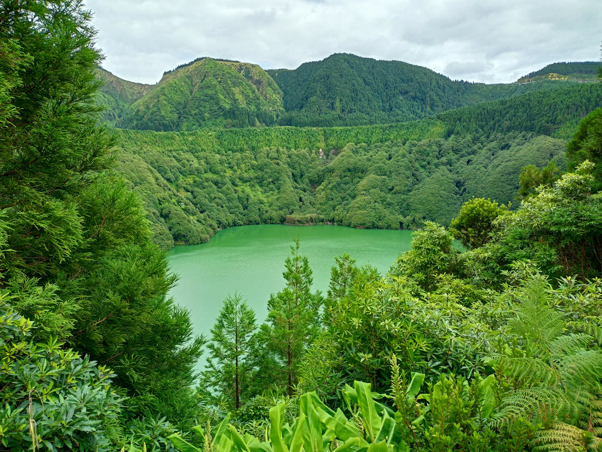 Lagoa Verde, São Miguel