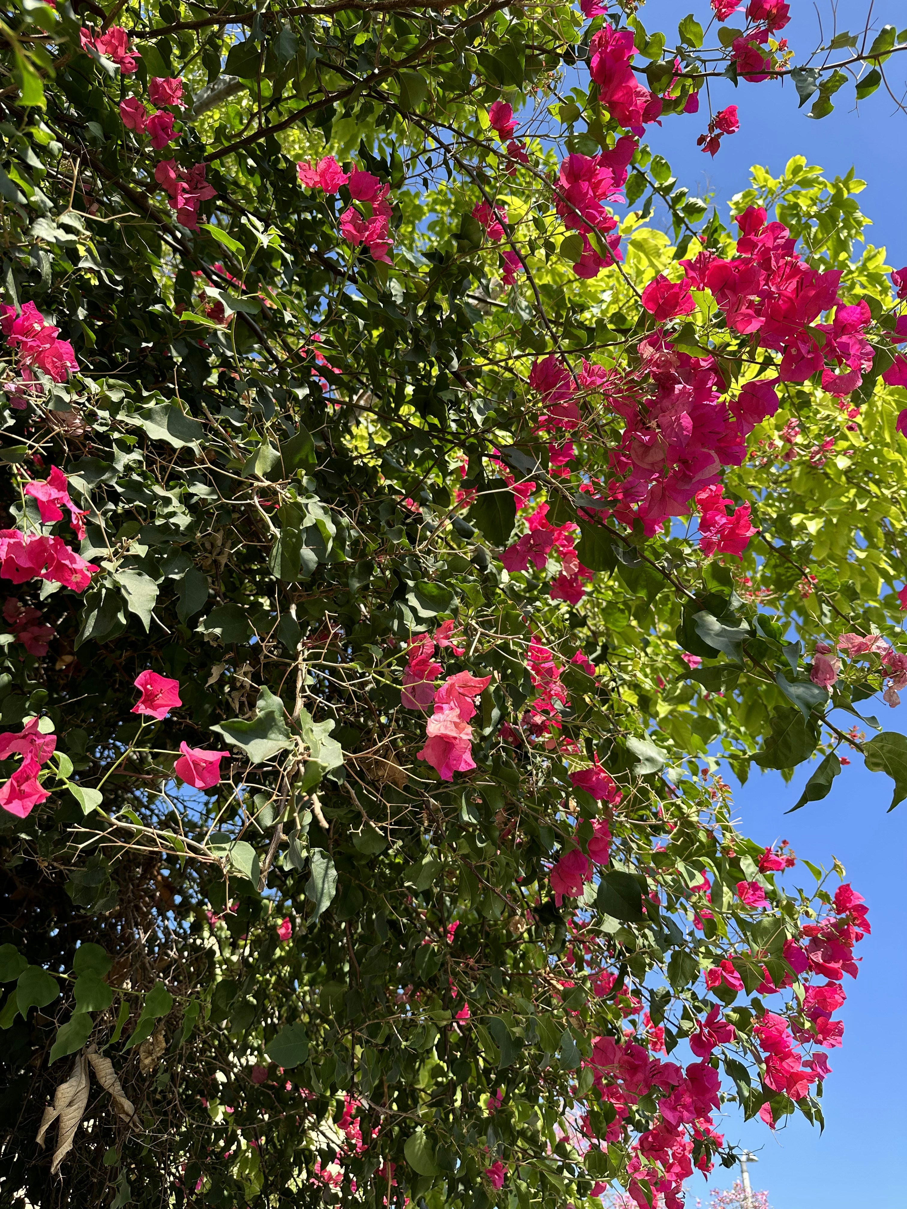 Photo by ivanmercado33