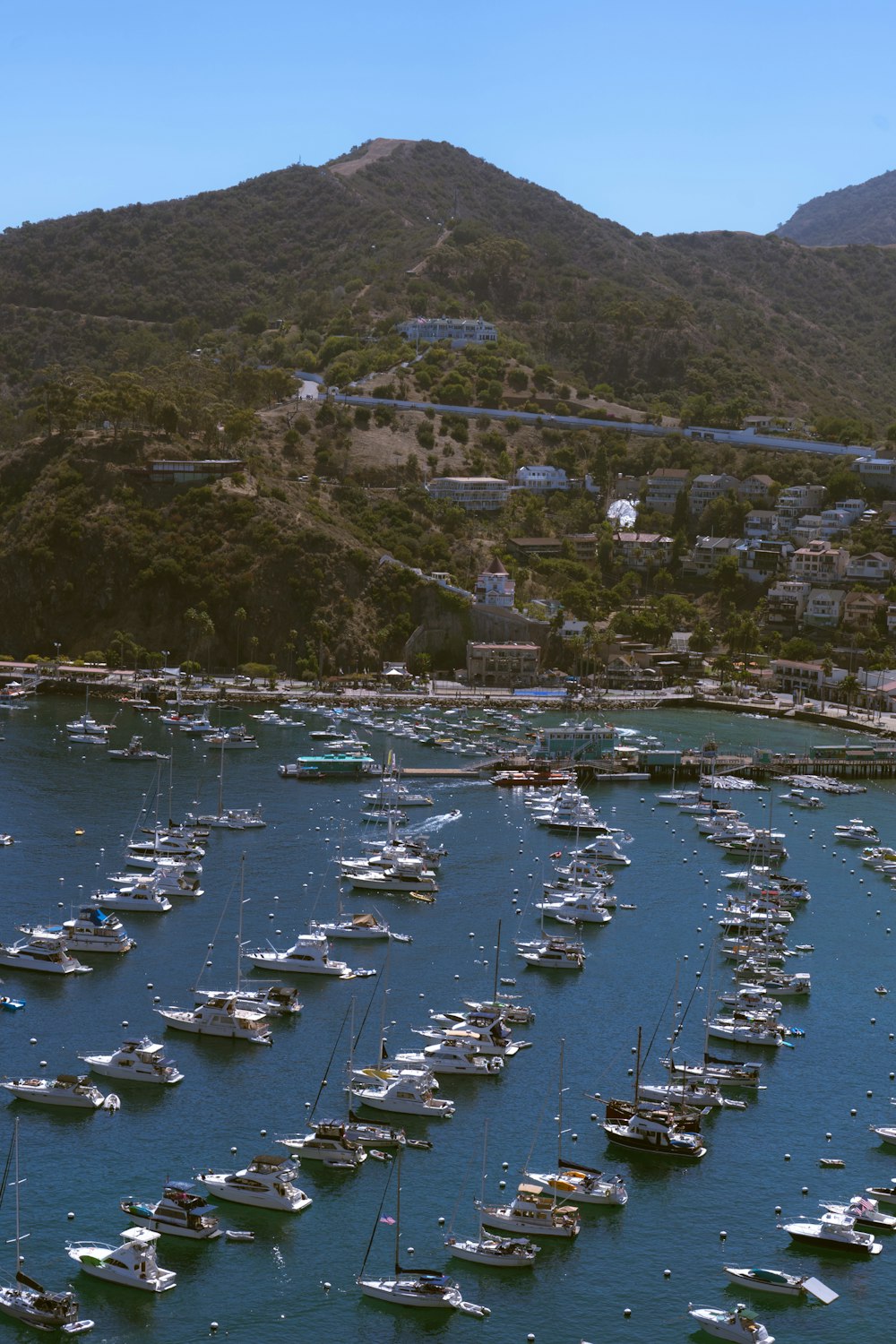 Une baie avec de nombreux bateaux