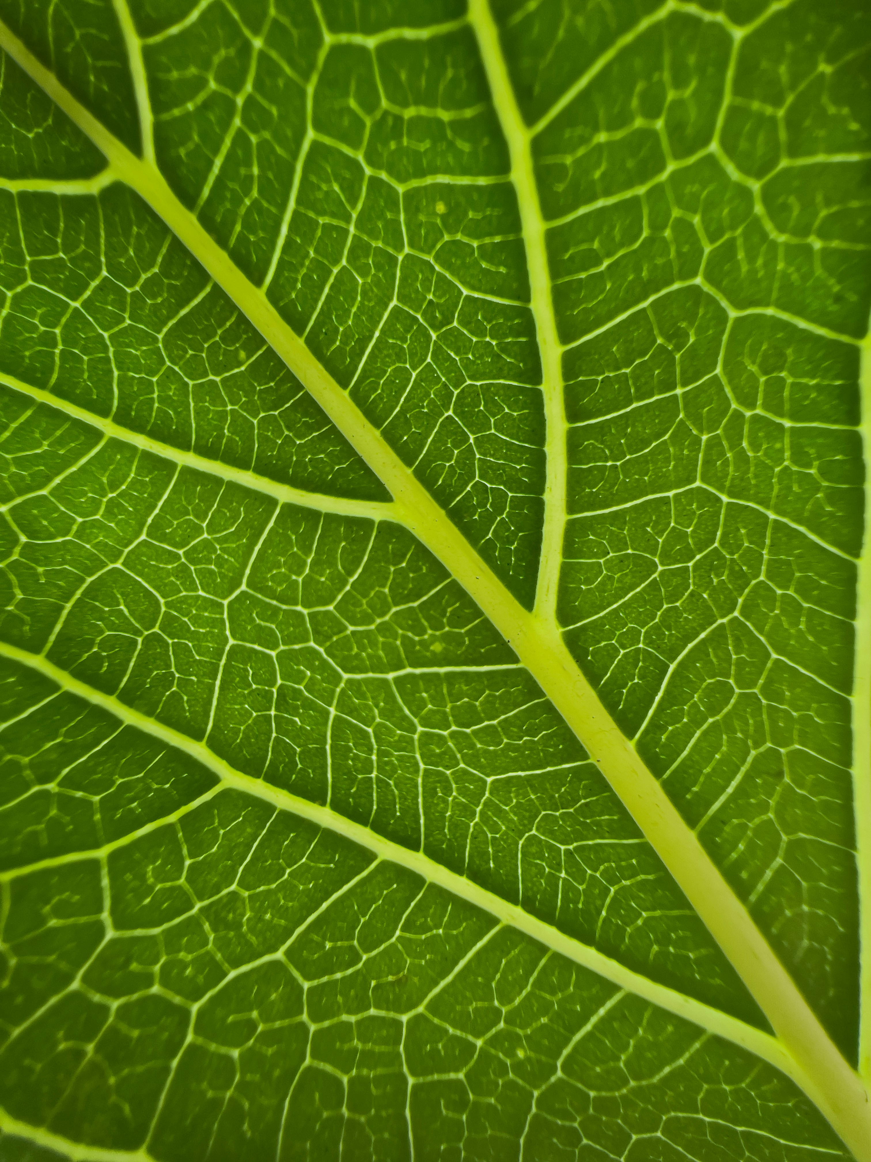 Photo by christoff_linde