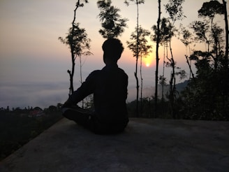 A person is sitting cross-legged on a platform, overlooking a misty valley during sunrise. Tall, slender trees surround the area, and the sun is visible on the horizon, casting a warm glow.